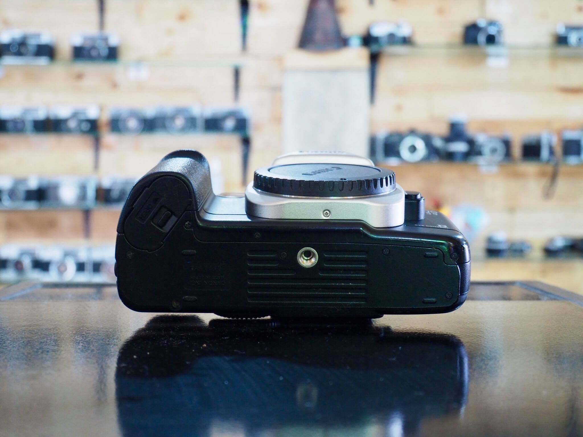 CANON EOS 55(BODY)