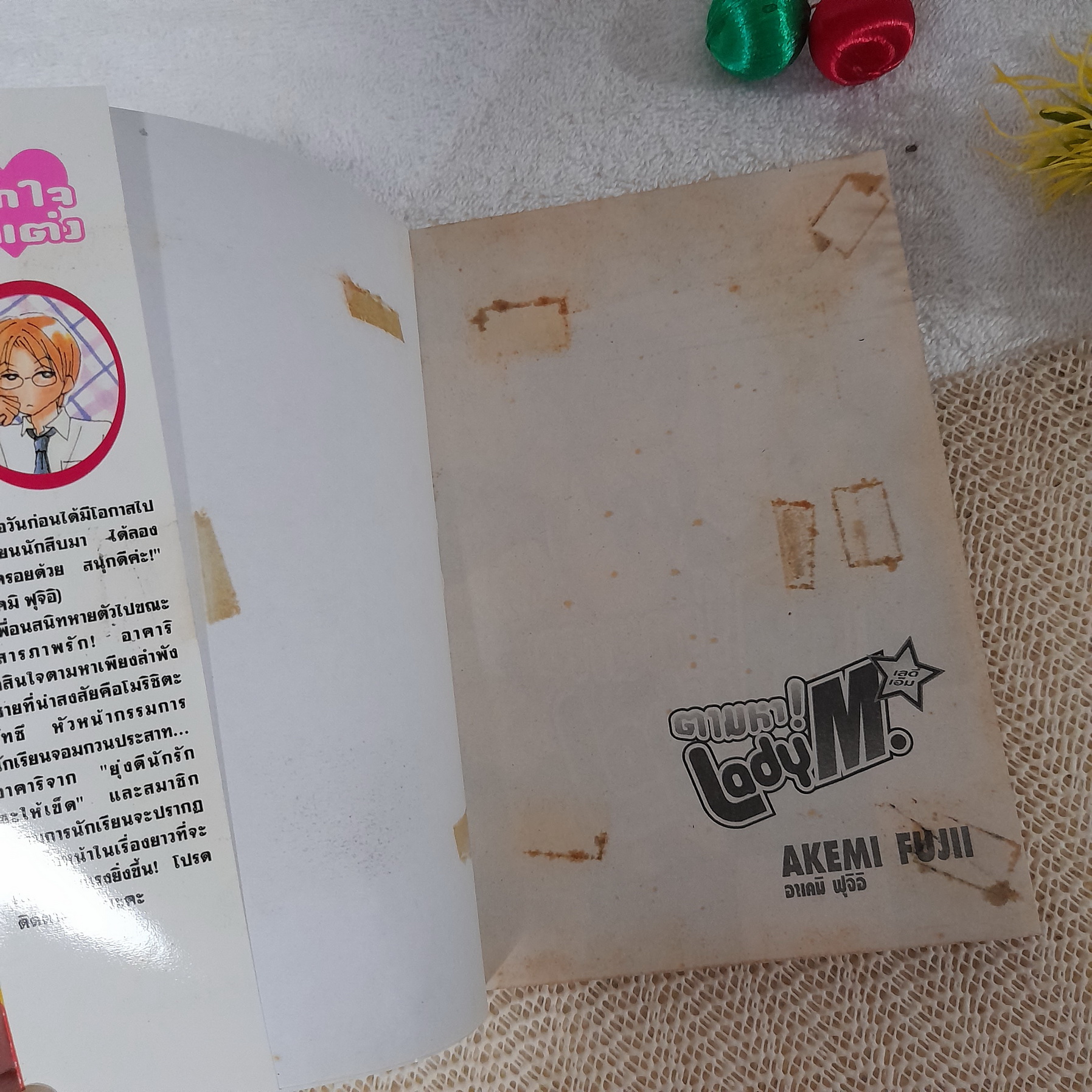 ตามหา Lady M. / Akemi Fujii