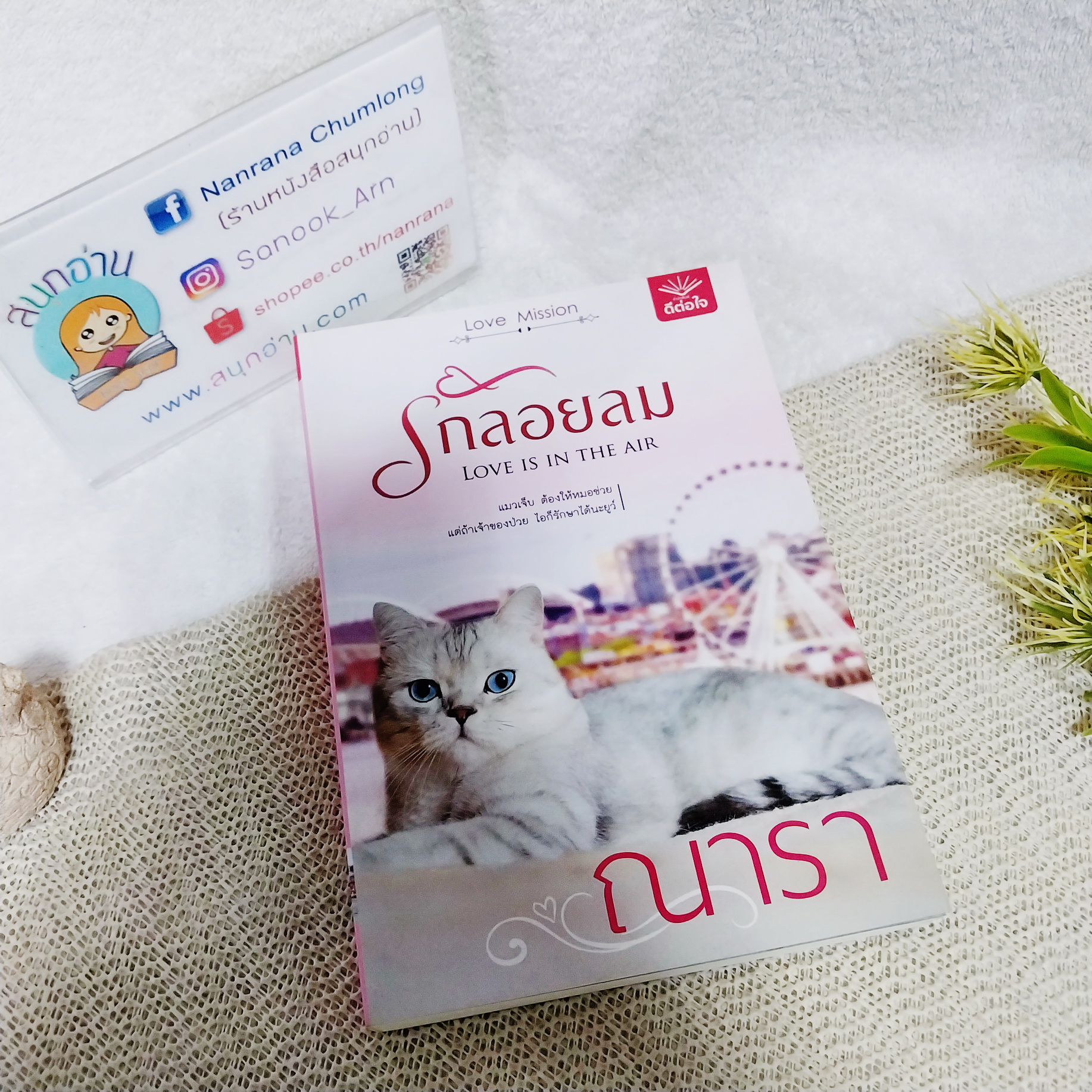 รักลอยลม / ณารา