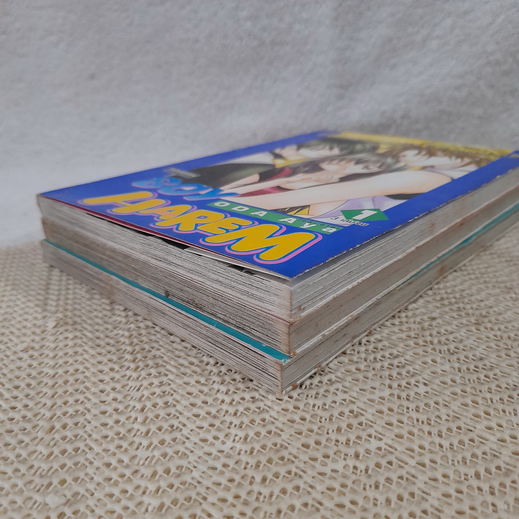 Boy Harem 1-3 จบ