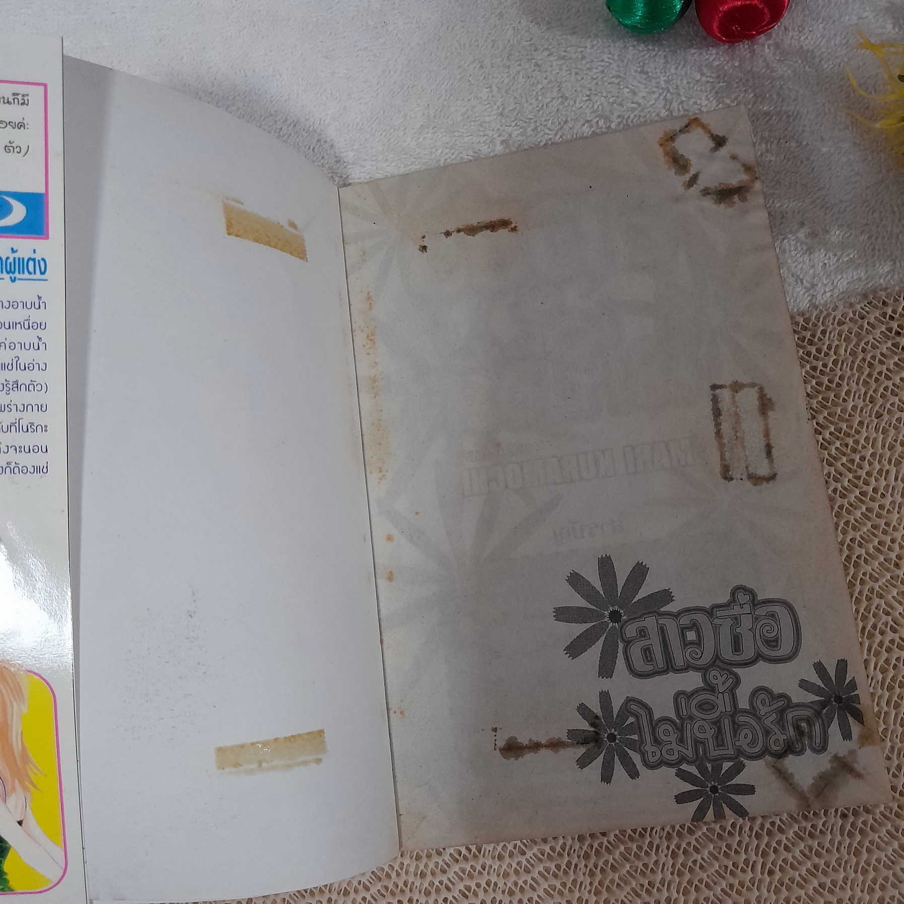 สาวซื่อไม่บื้อรัก / Mari Kuramoshi