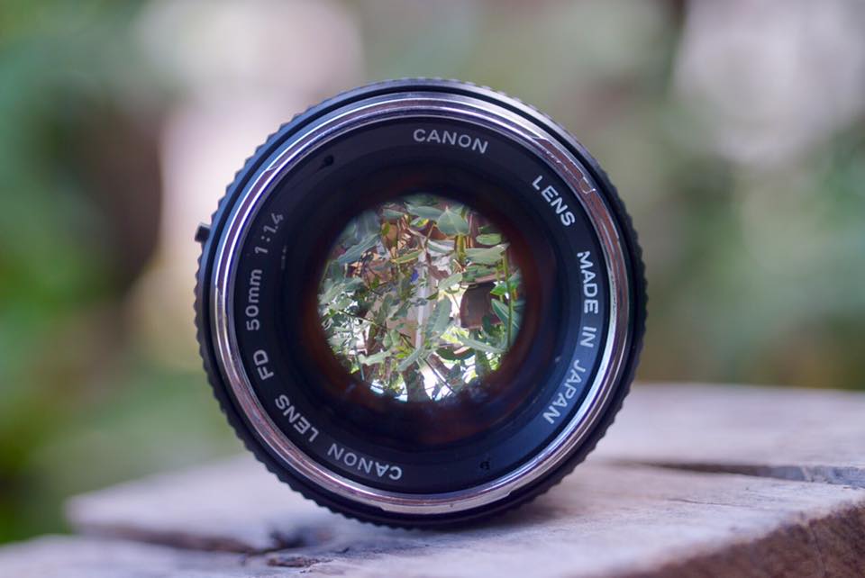 CANON FD LENS 50MM. F1.4 จมูกเงิน FD MOUNT