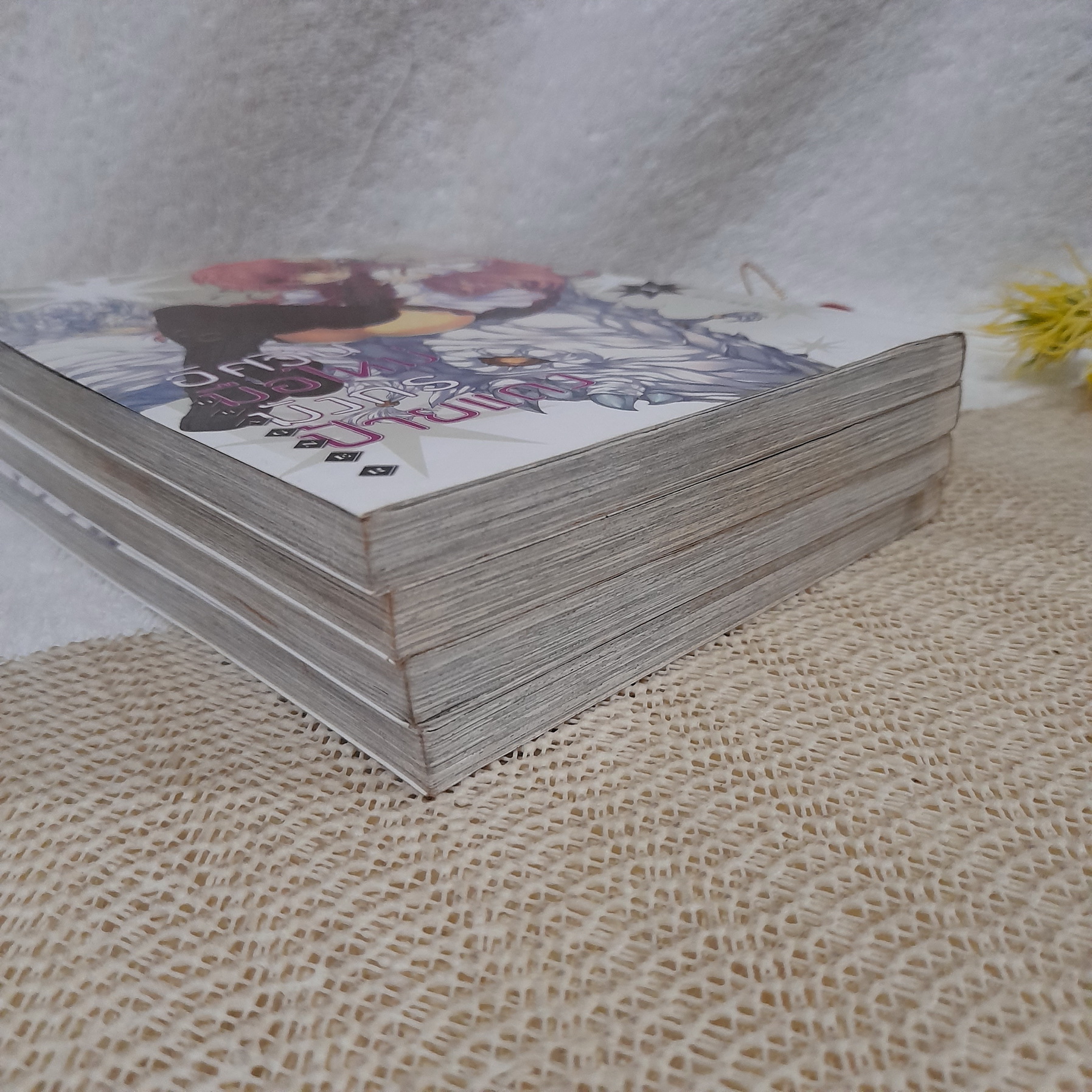 อัศวินมือใหม่ มังกรป้ายแดง : Dragner 1-4 ไม่จบ