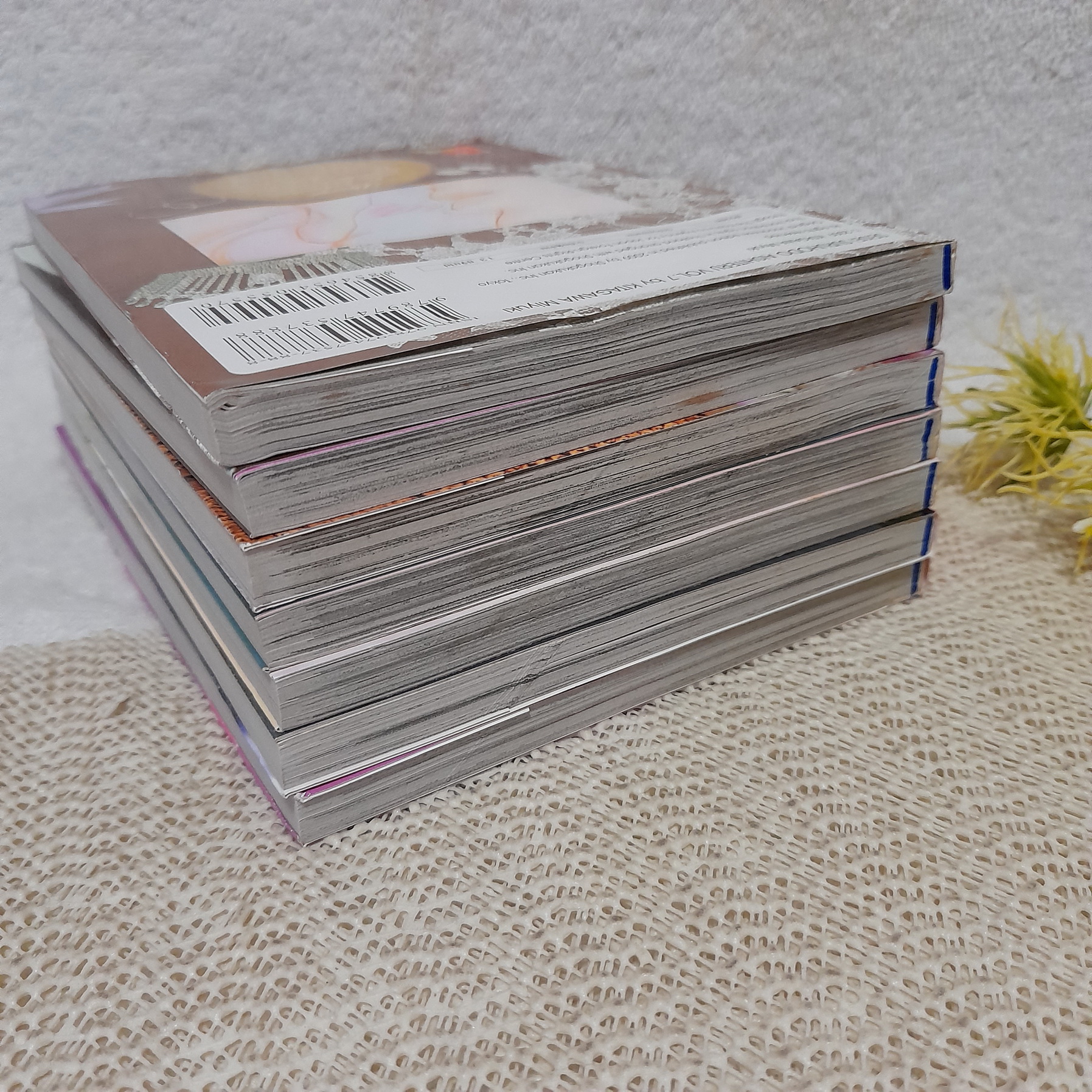 รักเธอเกินห้ามใจ 1-7 จบ / Kitagawa Miyuki