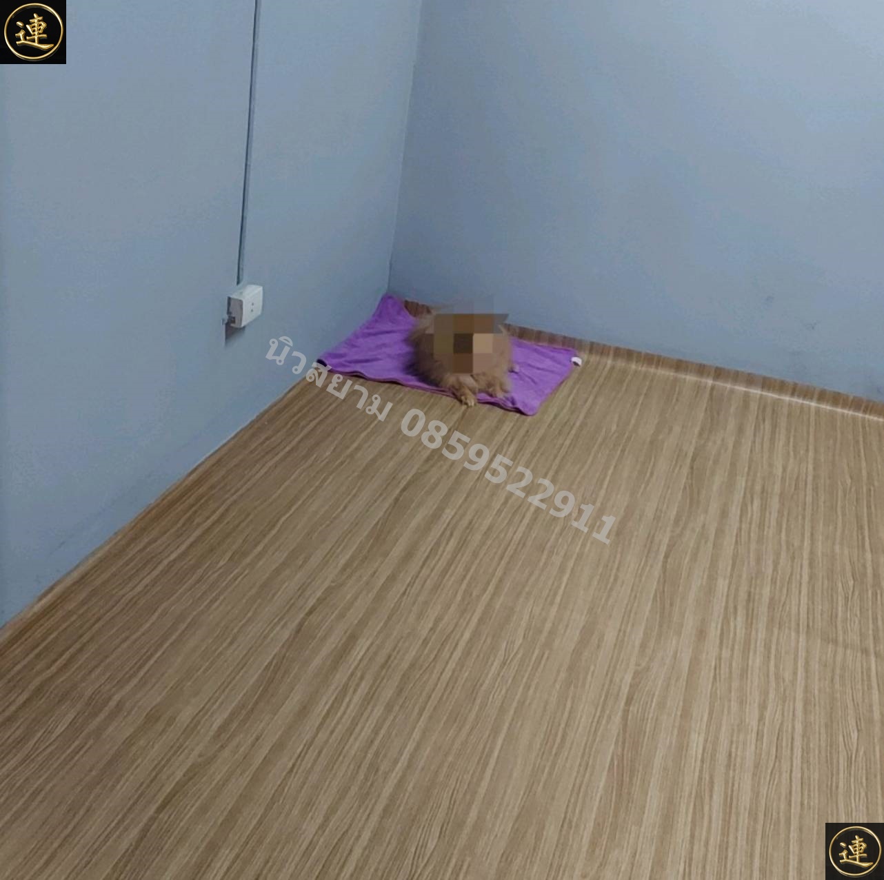 ลายเสื่อน้ำมัน กระเบื้องยางม้วน อัพเดด 1 ธันวาคม 2568