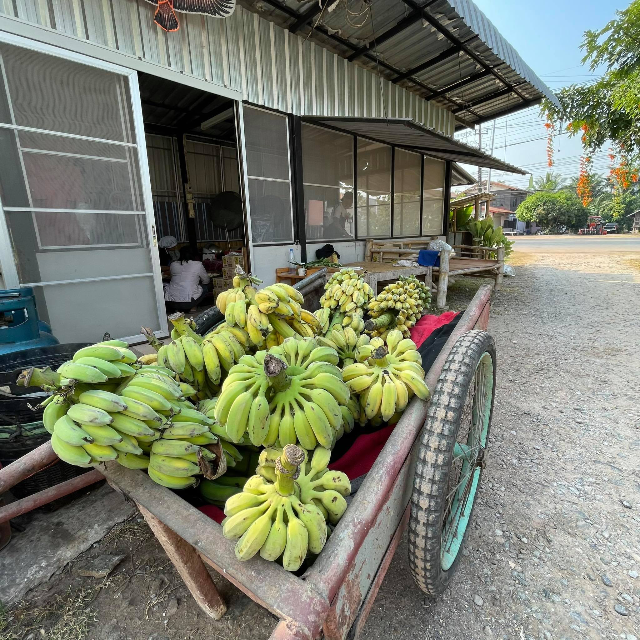 กล้วยอบเนย 500g.