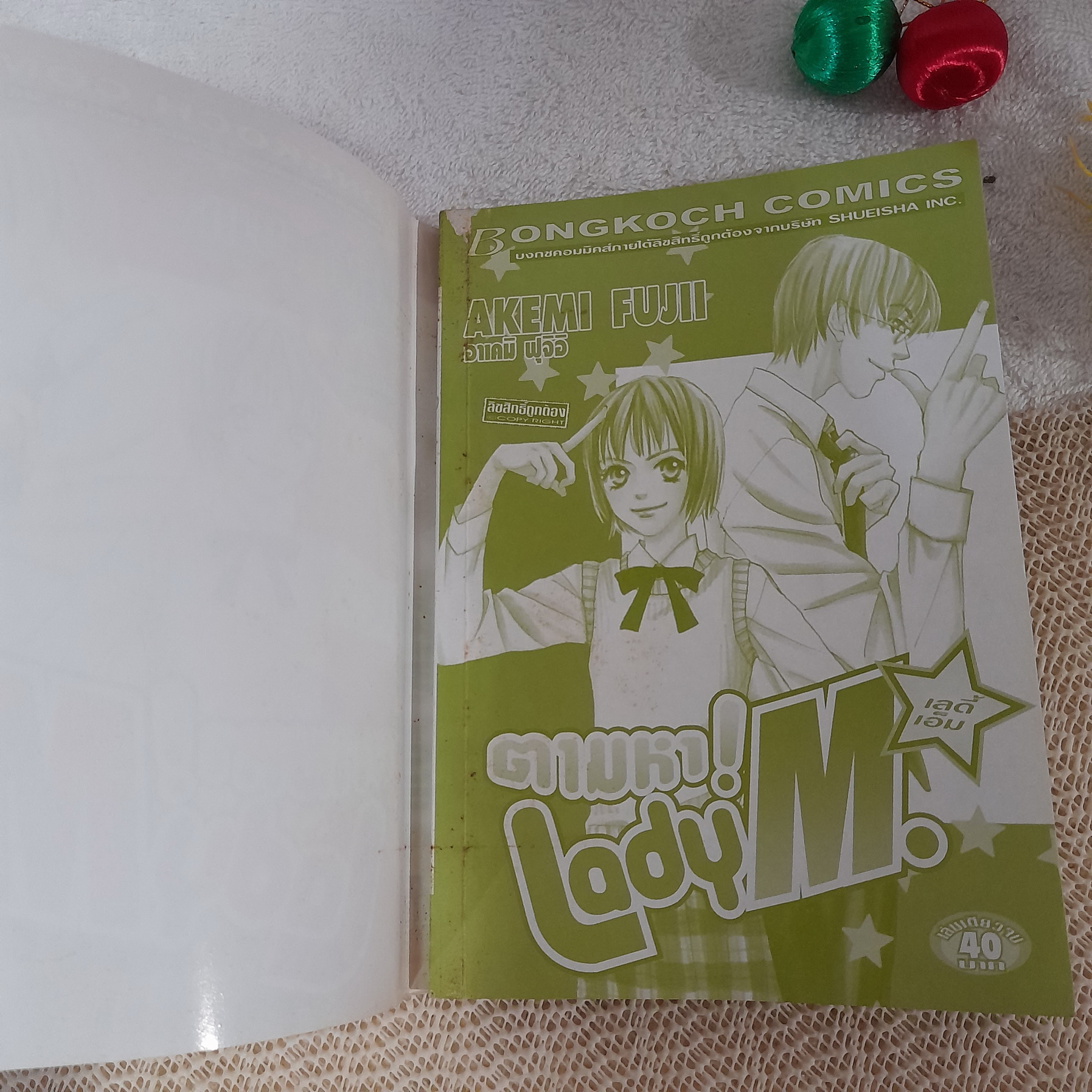 ตามหา Lady M. / Akemi Fujii