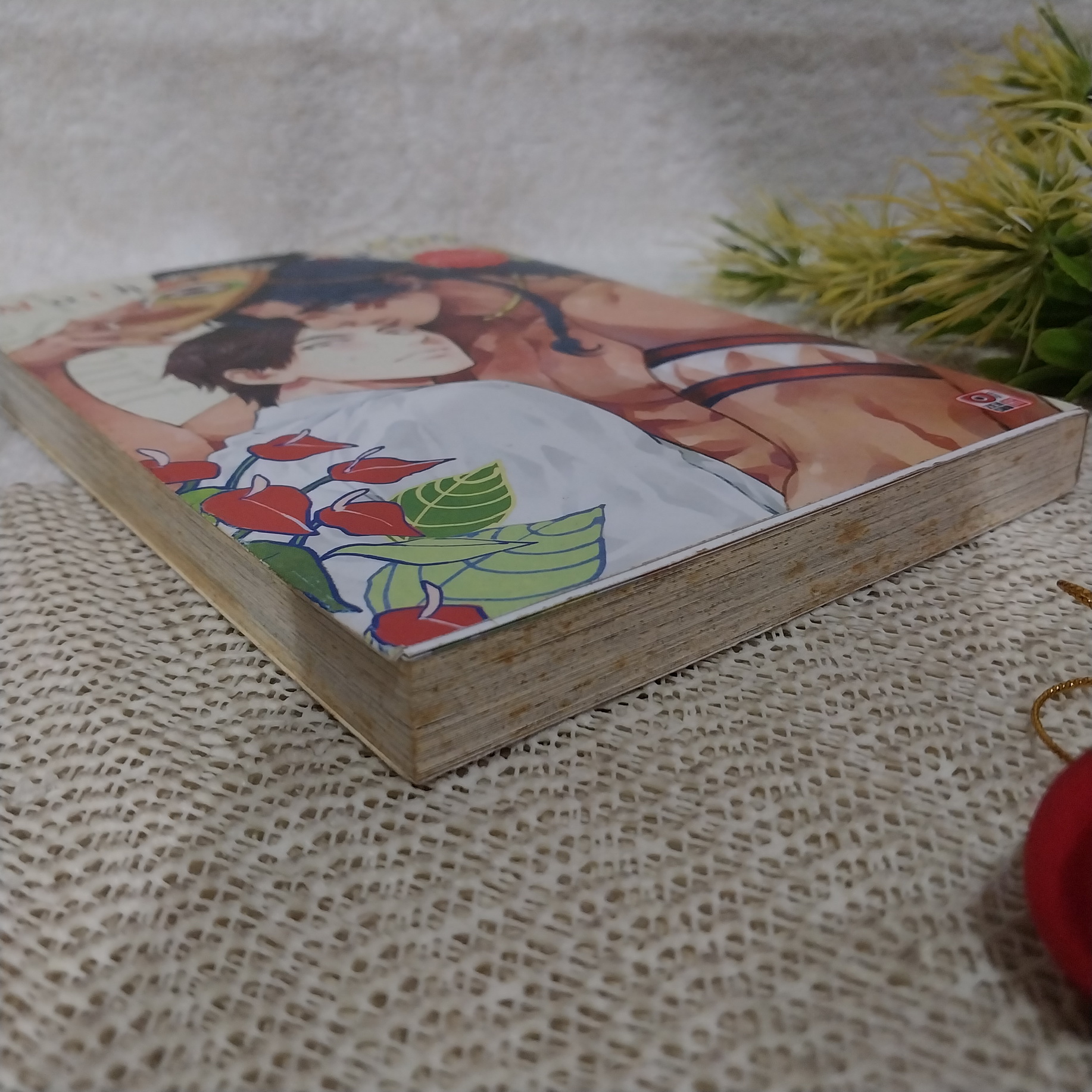 Mother 's Spirit / ENZO