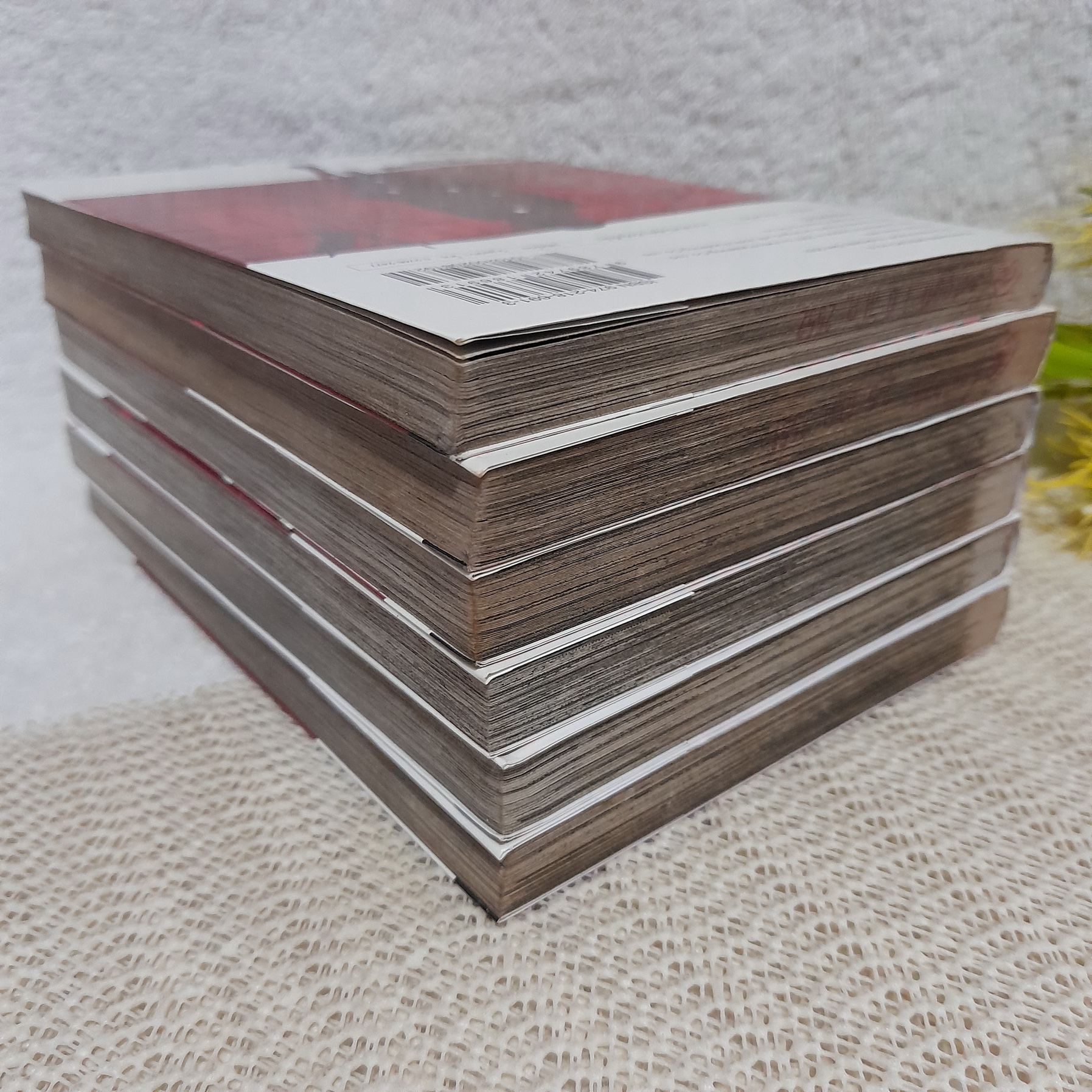 เจ้าหญิงอาถรรพ์ มิโดระ 1-6 จบ