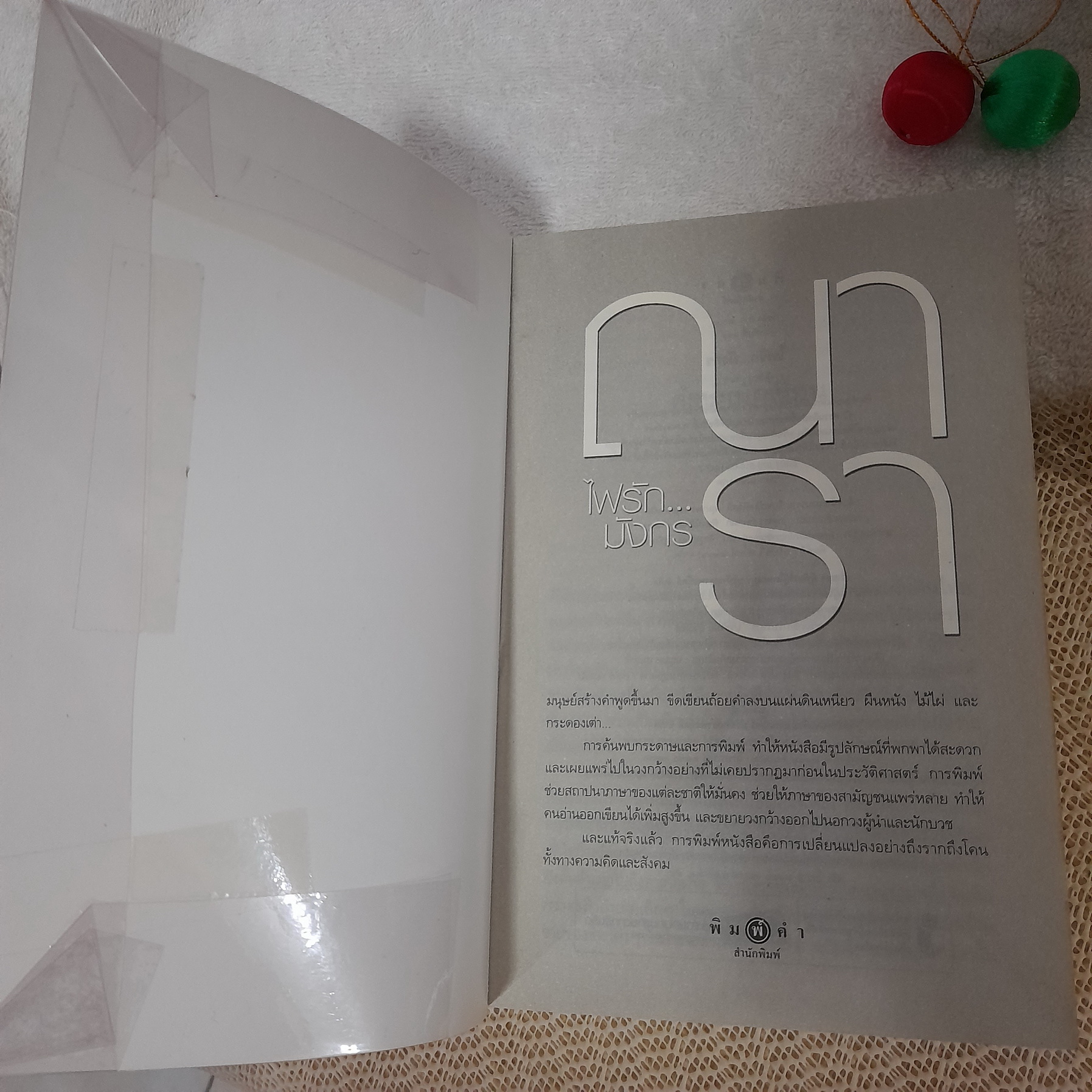 ไฟรักมังกร / ณารา