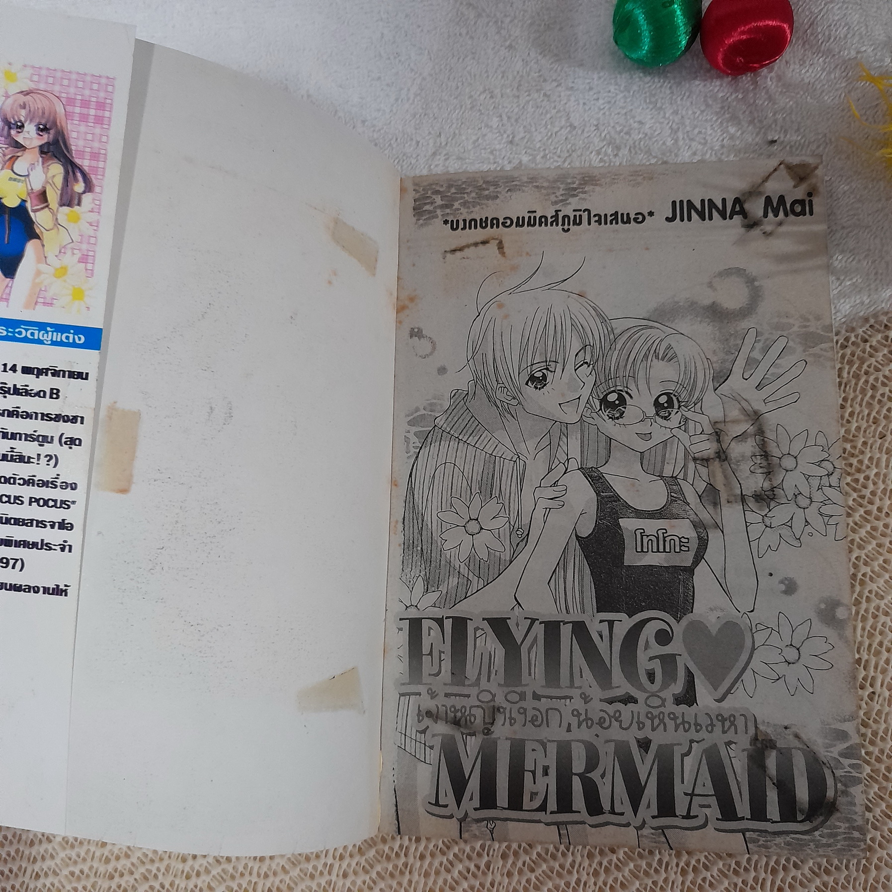 Flying Mermaid เจ้าหญิงเงือกน้อยเหินเวหา / Jinna Mai