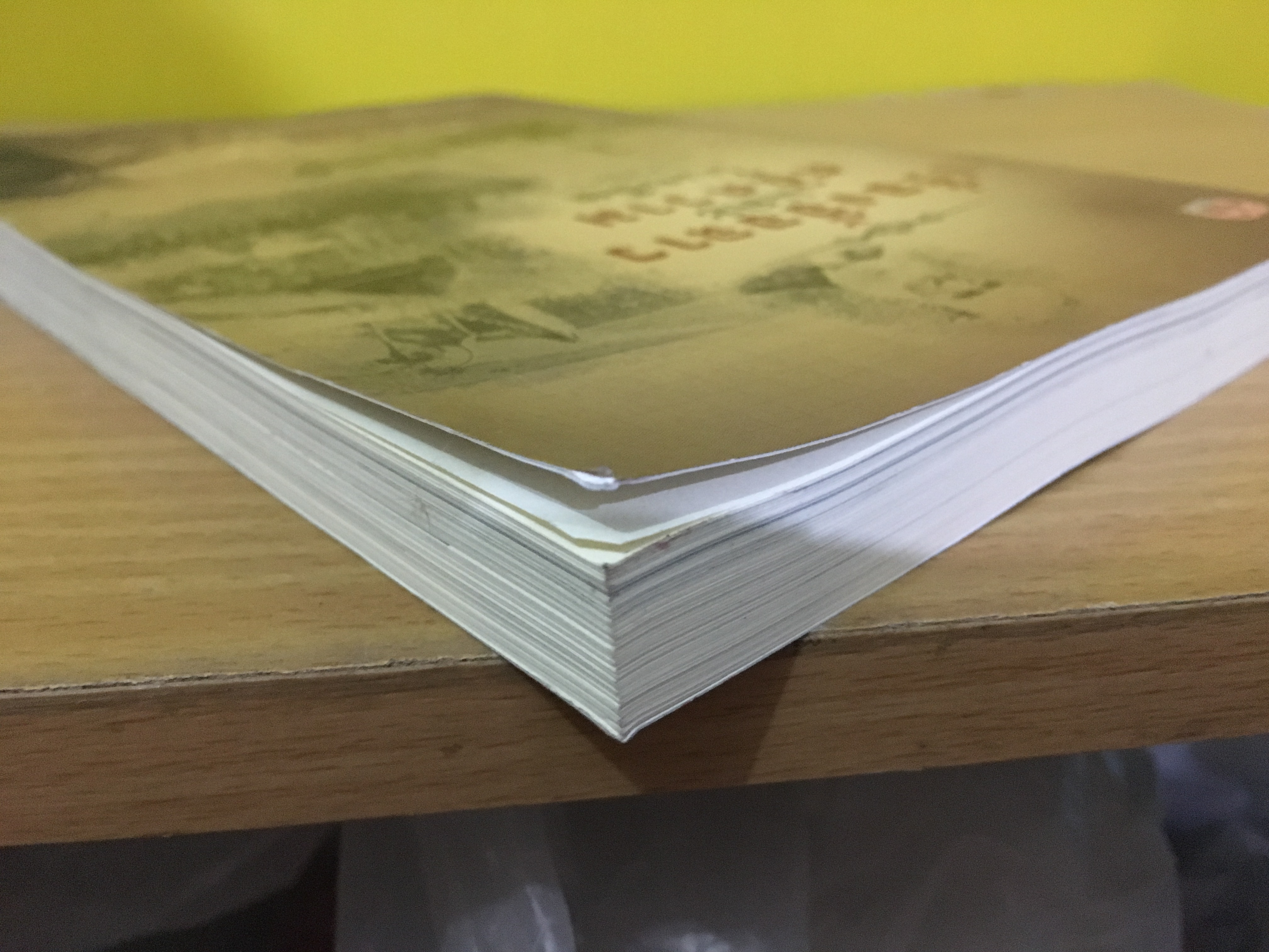 เรื่องอื้อฉาวและคดีความในอดีต