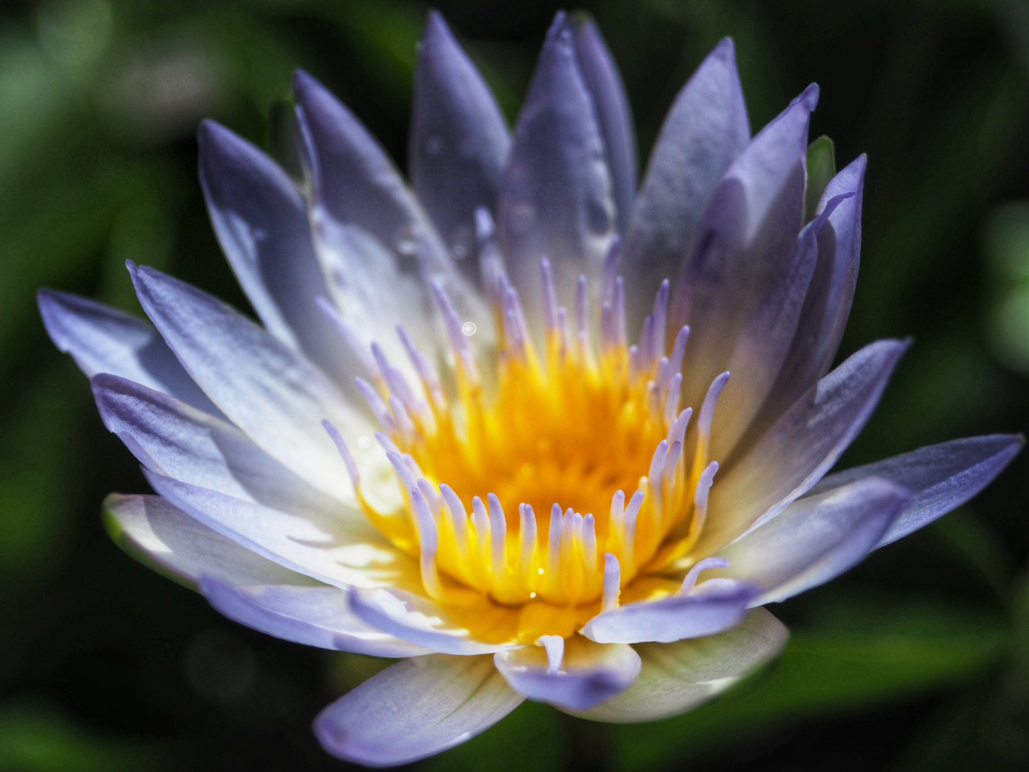 CARL ZEISS JENA TASSAR 35MM.F3.5 T MODIFIED M39 MOUNT (RF COULPING)