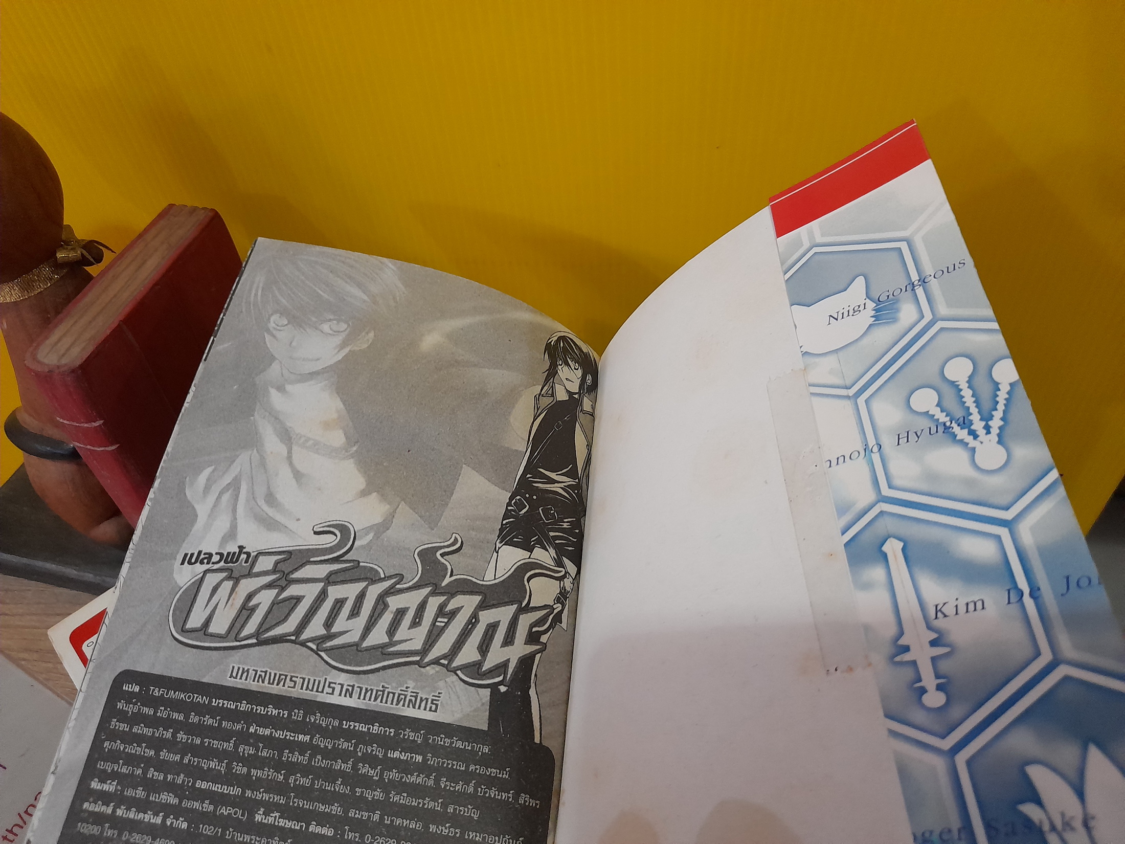 เปลวฟ้าผ่าวิญญาณ 1-10 ไม่จบ / * ขาดเล่ม 11