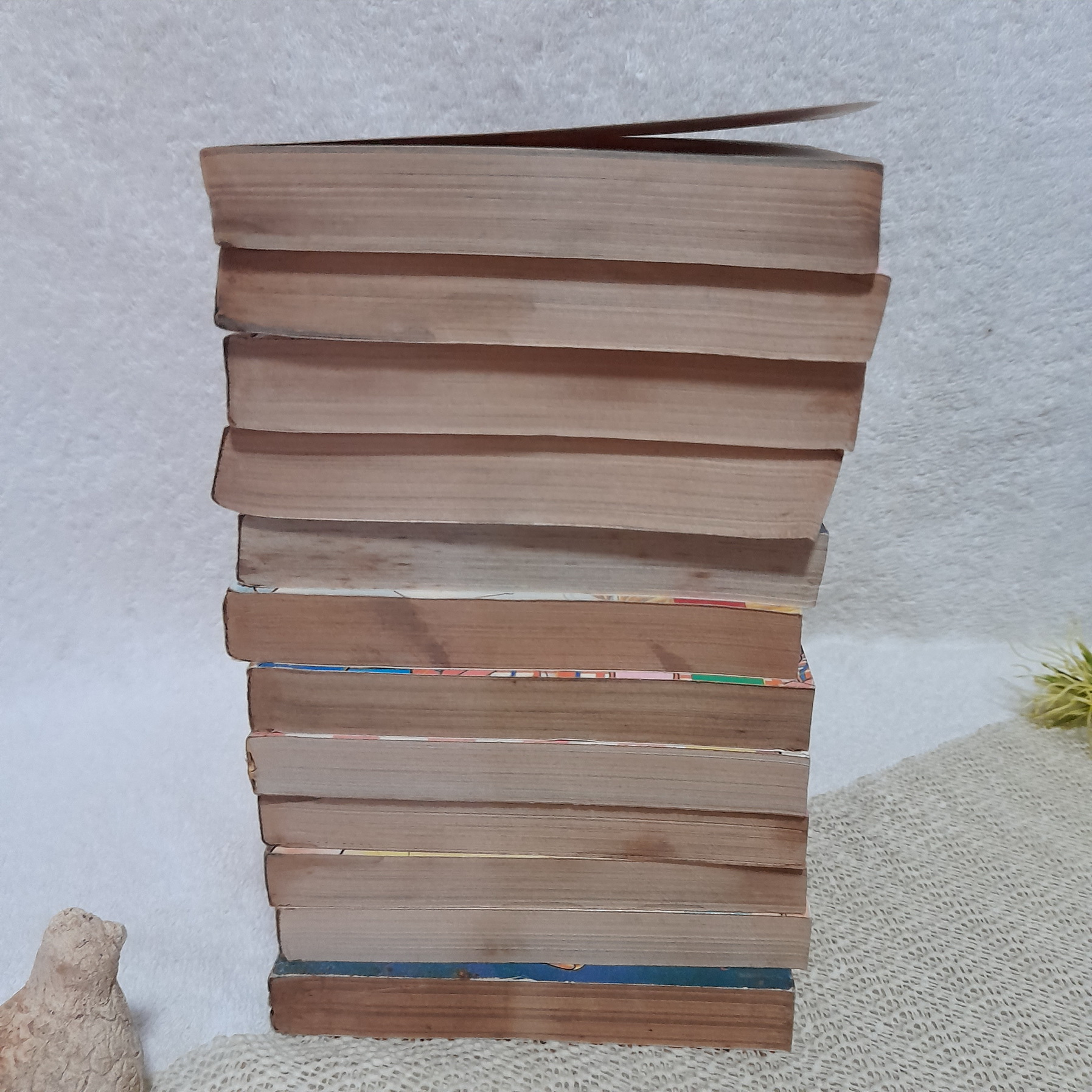 นักกี้ จอมใจจอมแก่น 1-12 จบ