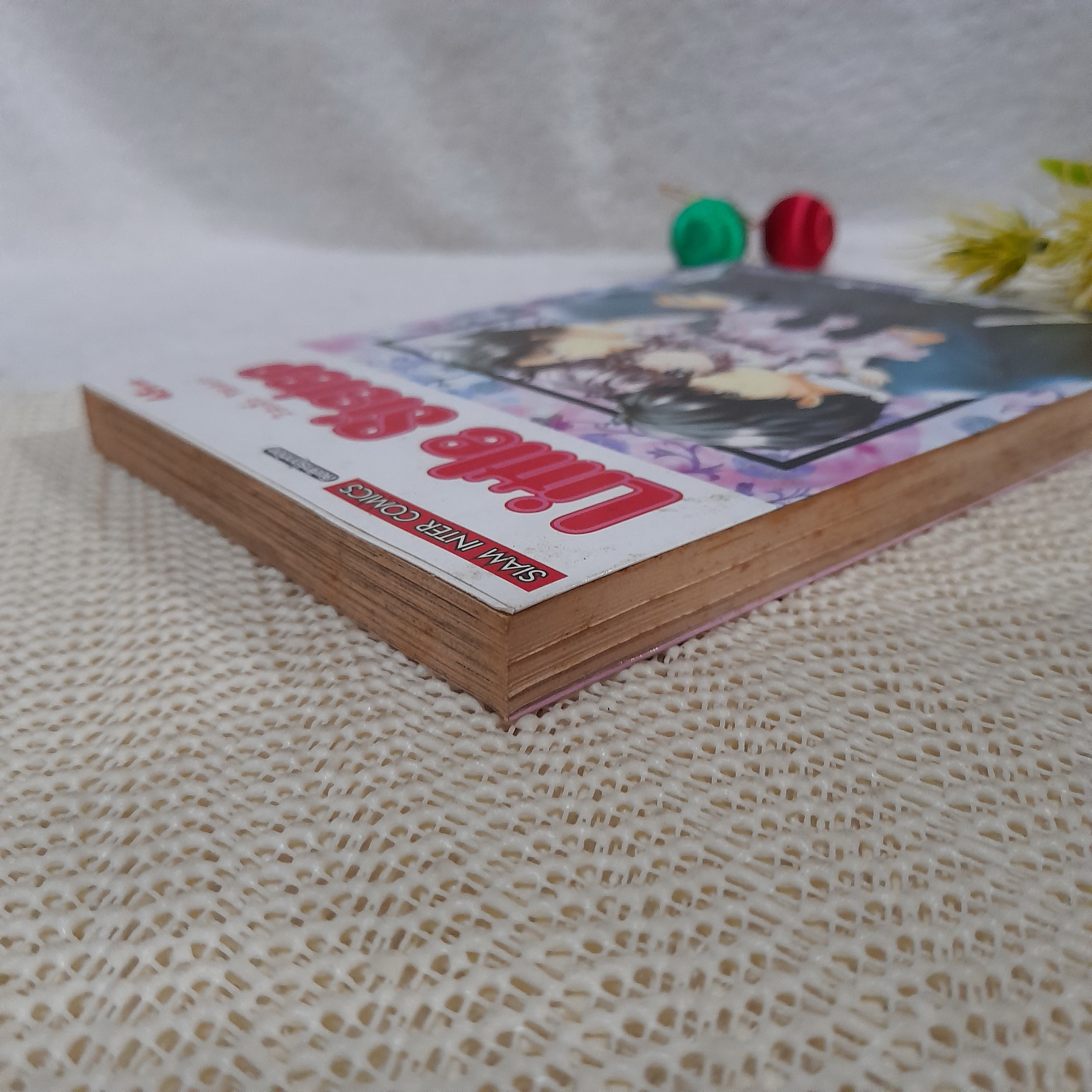 Little sister ลิตเติ้ล ซิสเตอร์