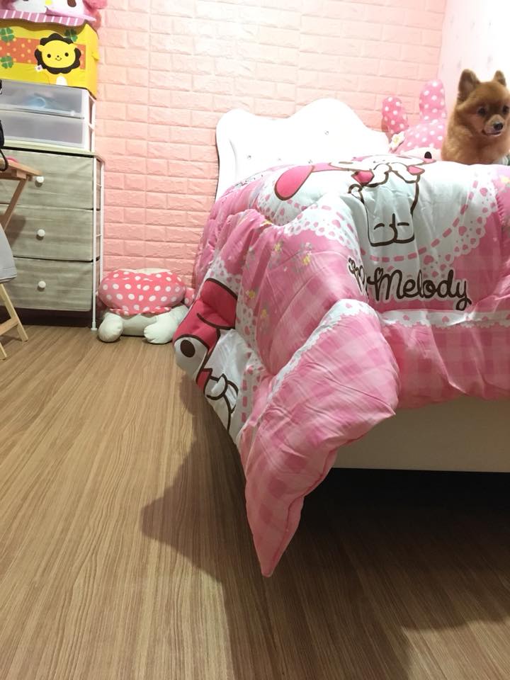 ลายเสื่อน้ำมันมาใหม่ 1 ตุลาคม 2567