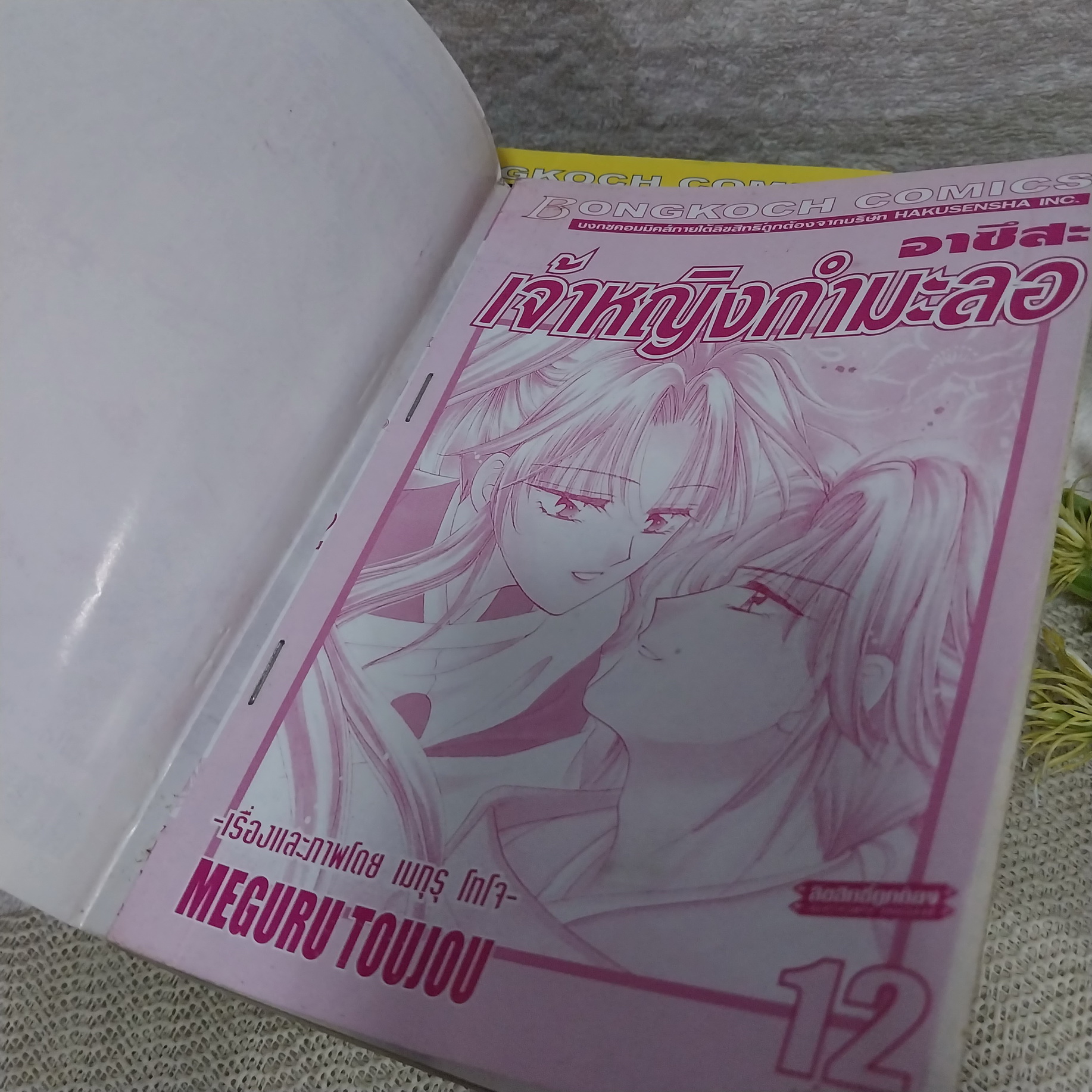 อาซึสะ เจ้าหญิงกำมะลอ 1-12 จบ