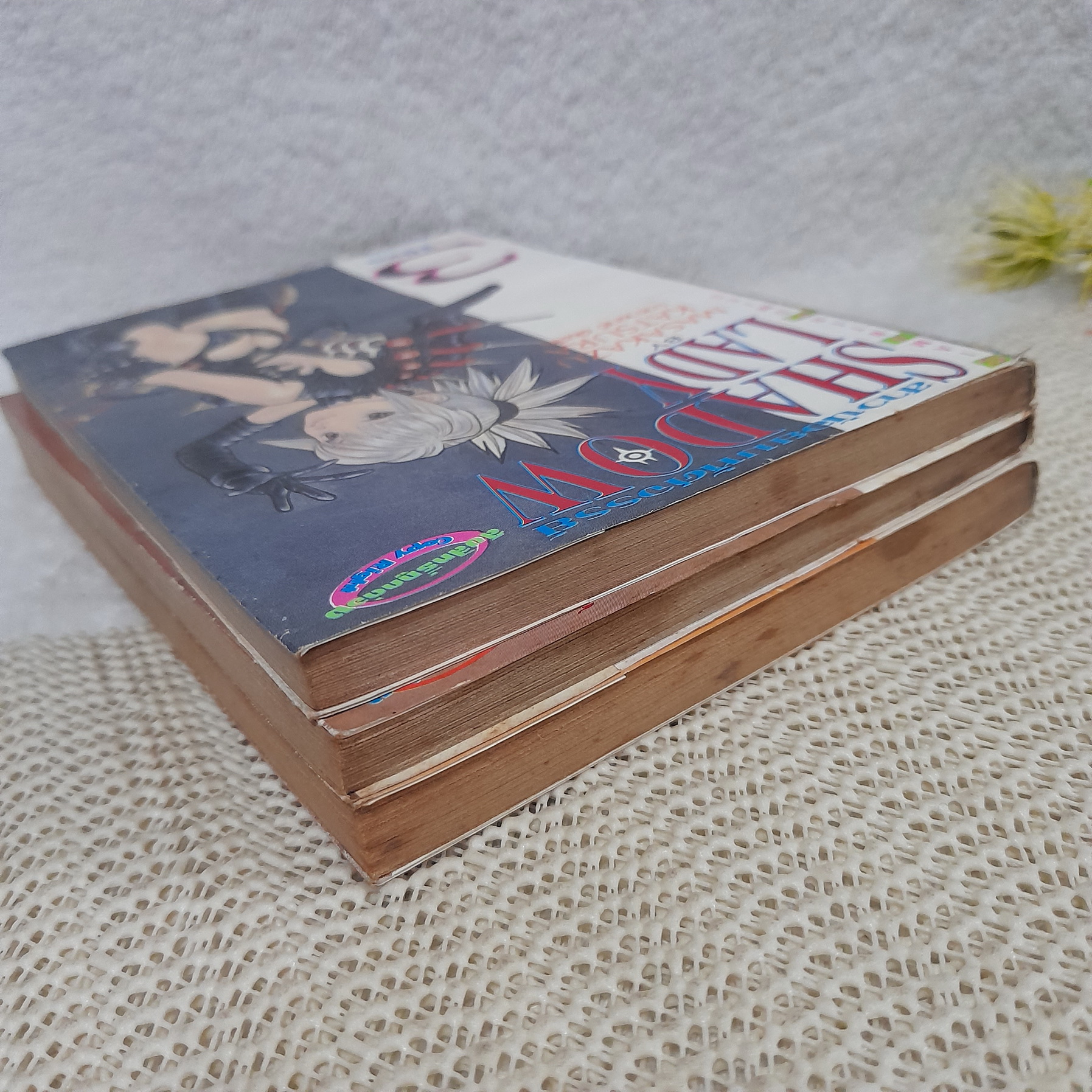Shadow Lady 1-3 จบ