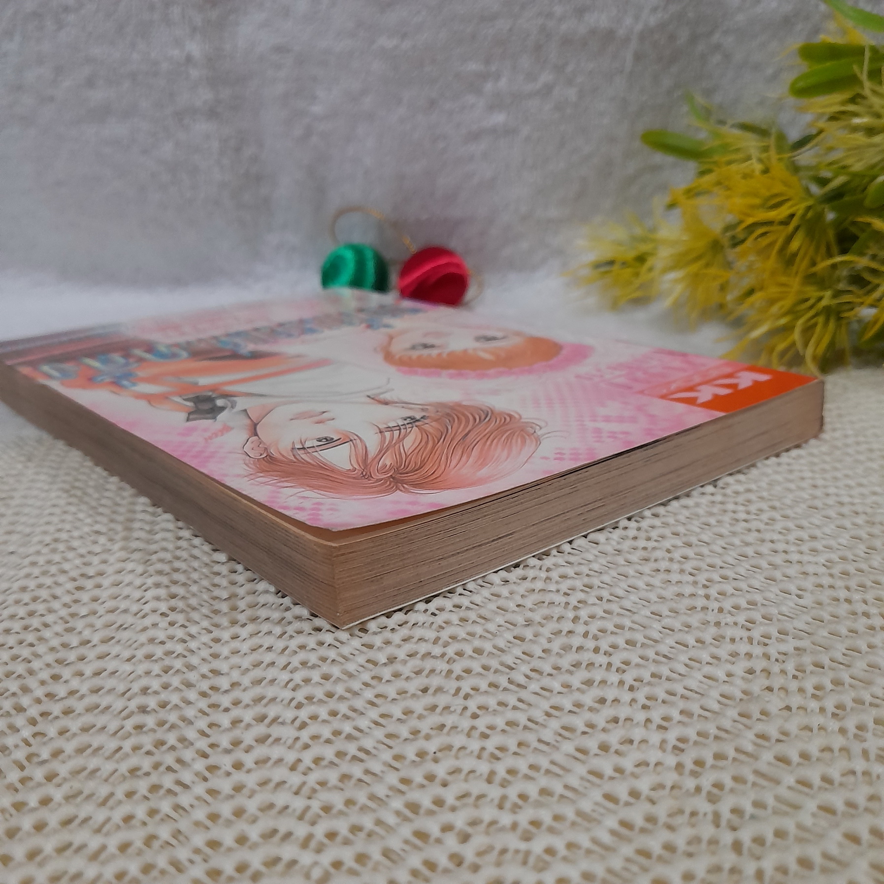 ขอรักเธอแค่คลั่ง / Ozaki Nachika