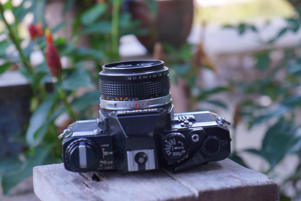 OLYMPUS OM10 OLYMPUS F. ZUIKO AUTO-S 50 MM. F1.8