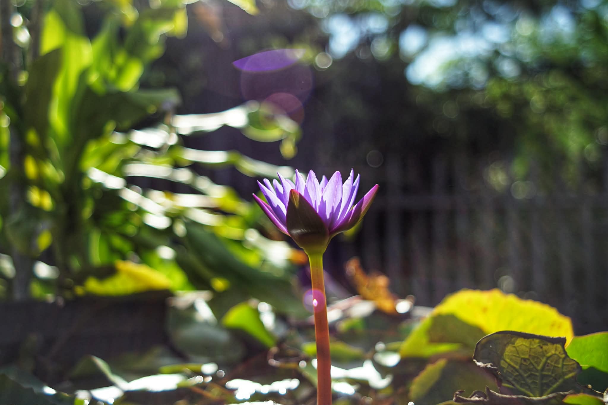 PENTACON PRAKTICAR 28MM.F2.8 MC PB MOUNT