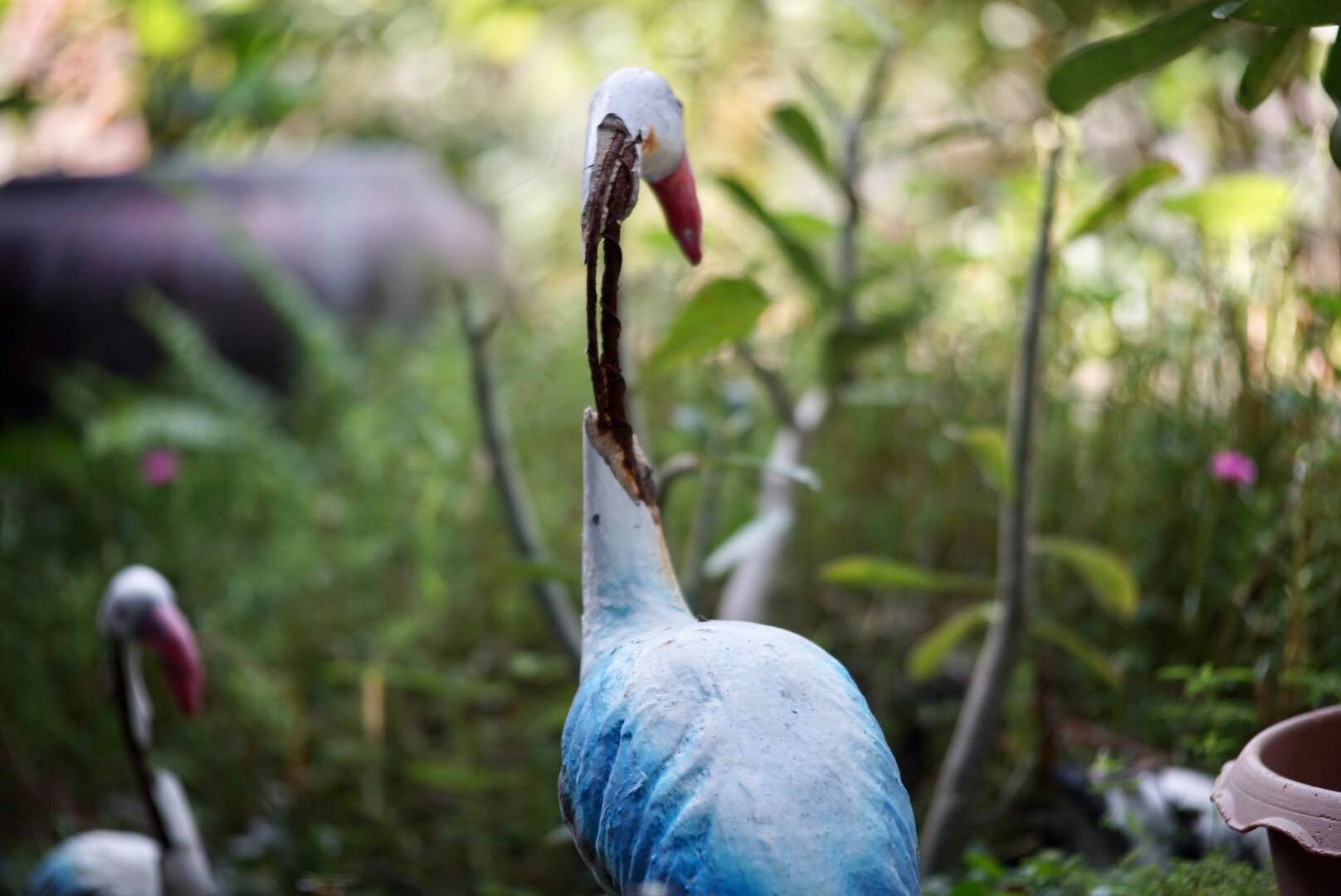 NIKON AF NIKKOR 35-105MM.F3.5-4.5 MACRO