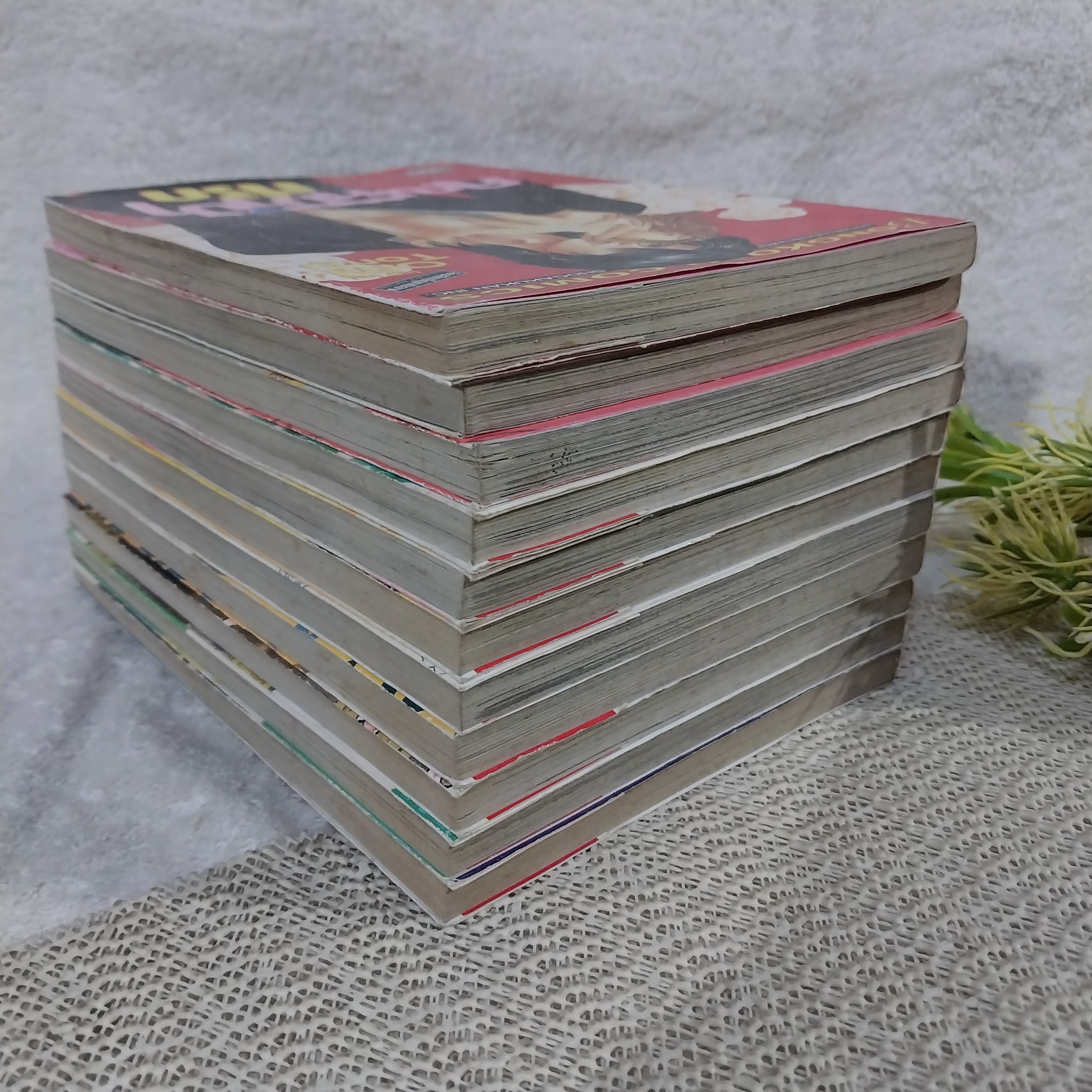 คุณหมาป่าที่รัก 1-10 จบ + ภาคพิเศษ / Omi Tomu