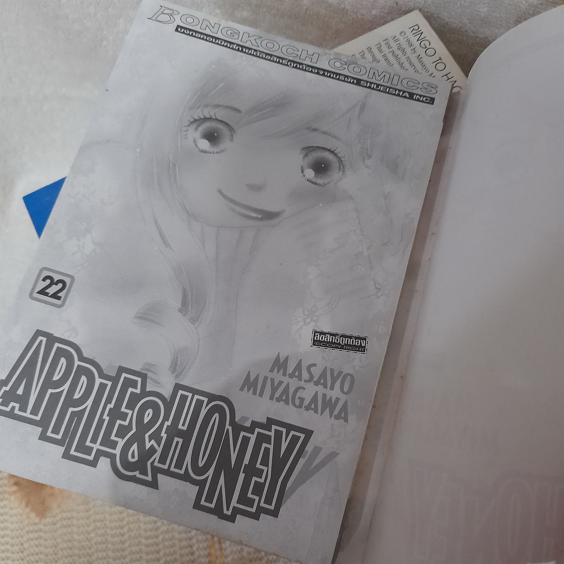 APPLE & HONEY 1-22 จบ