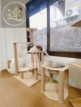 เสื่อน้ำมัน วันที่ 1 กุมภาพันธ์ 2565