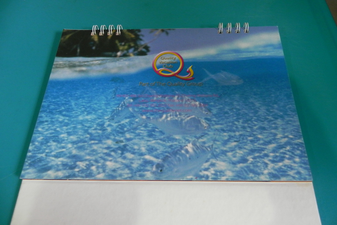 ปฏิทิน บริษัท QVC ปี 2551