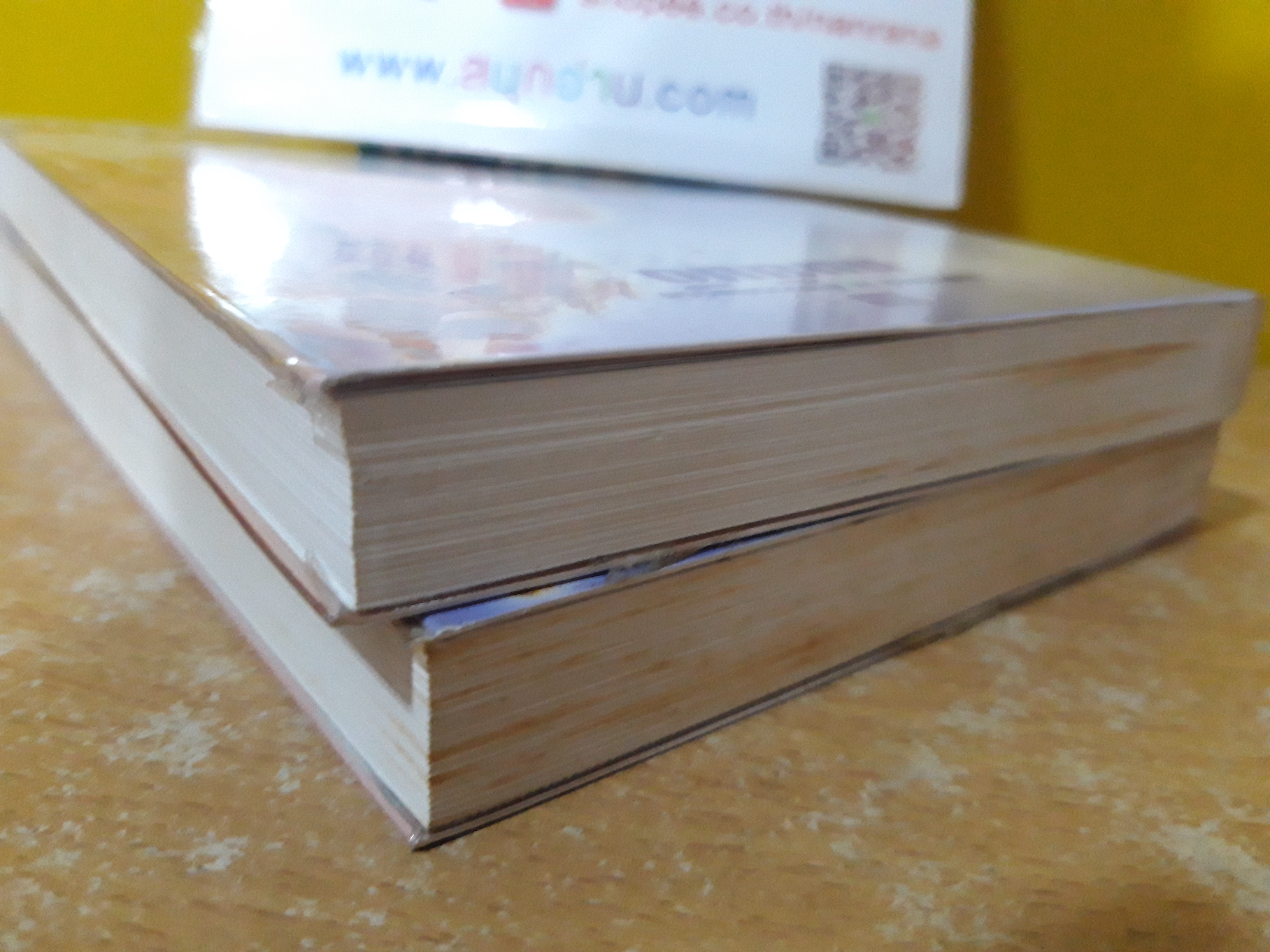 สุริยวรรมัน / ทมยันตี