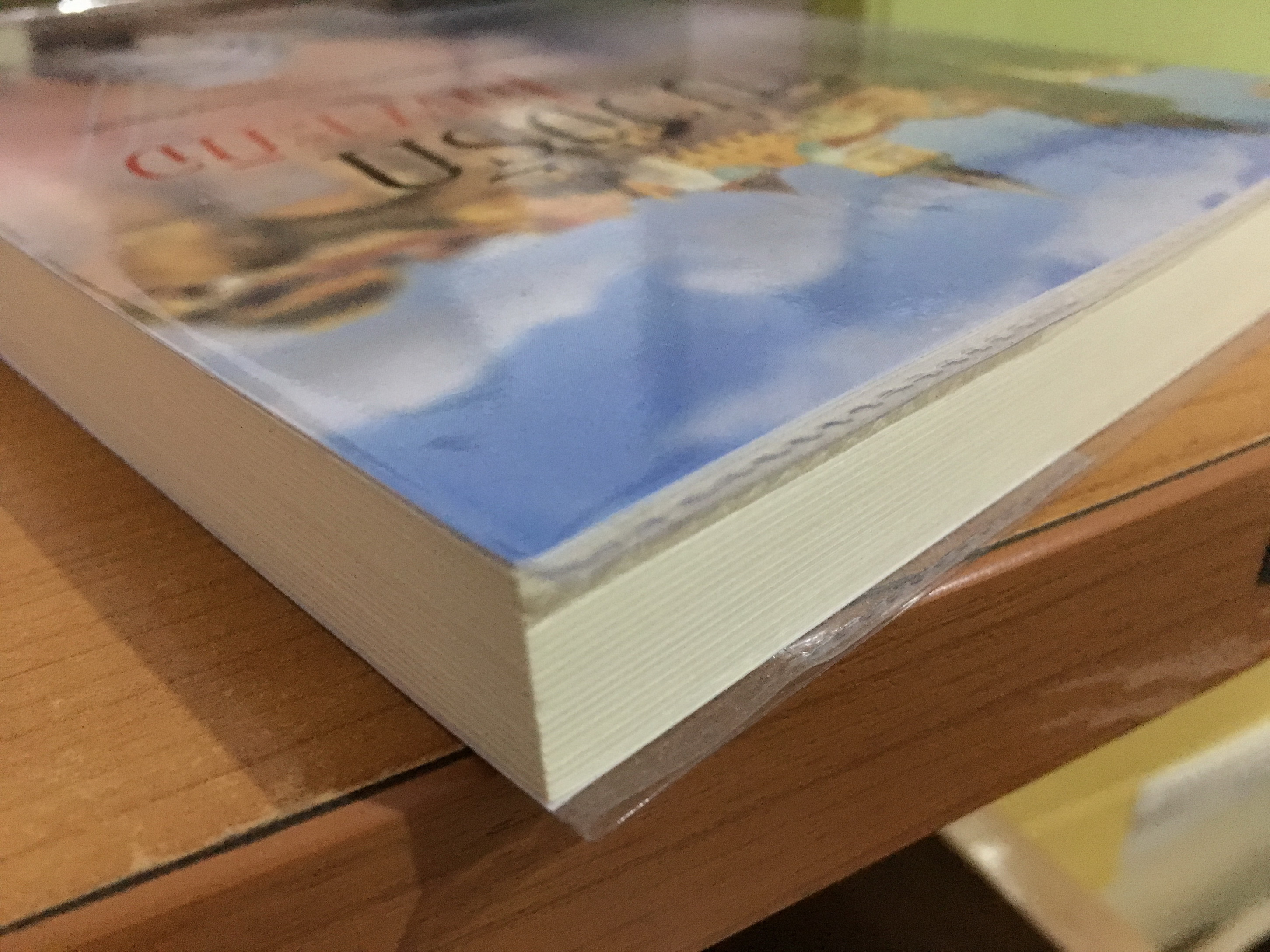 บ่วงรักเฉพาะกิจ / ภัคร์ภัสสร