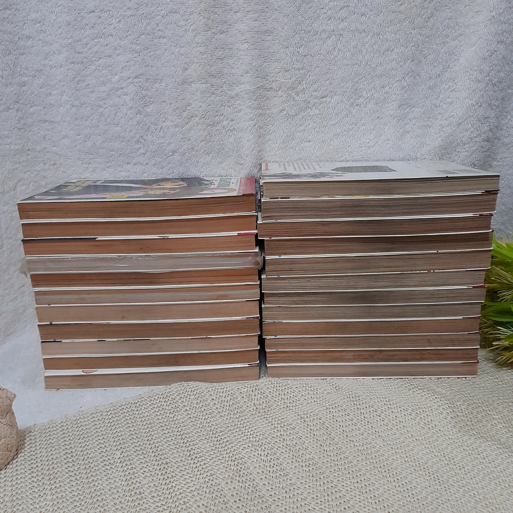 โรงเรียนนักสืบ Q 1-22 จบ + เล่มพิเศษ Premium