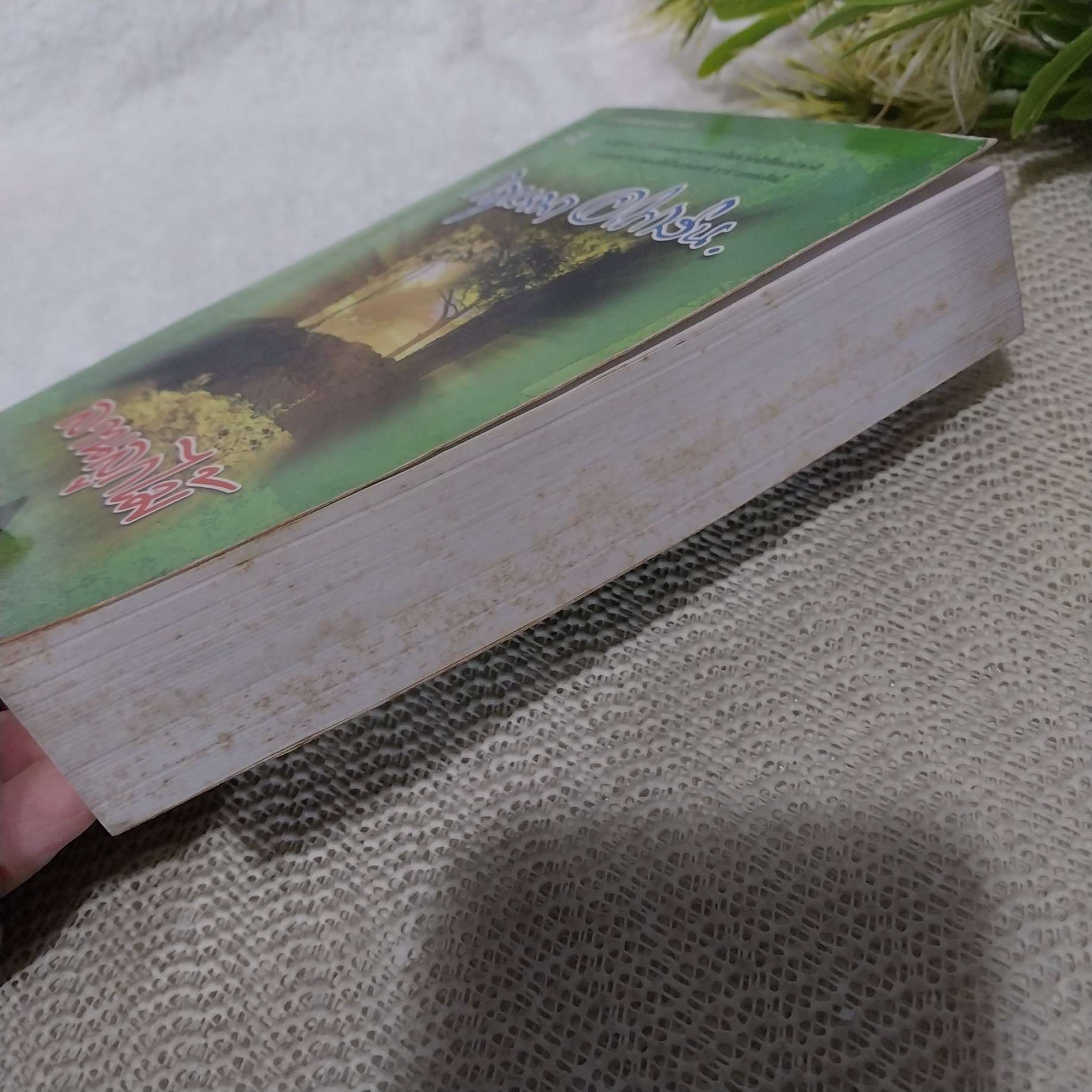 ลานลูกไม้ / กฤษณา อโศกสิน