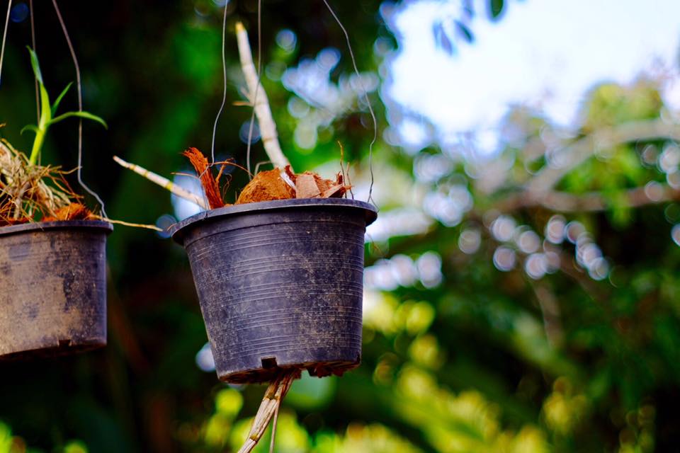 Super-Takumar 55/1.8
