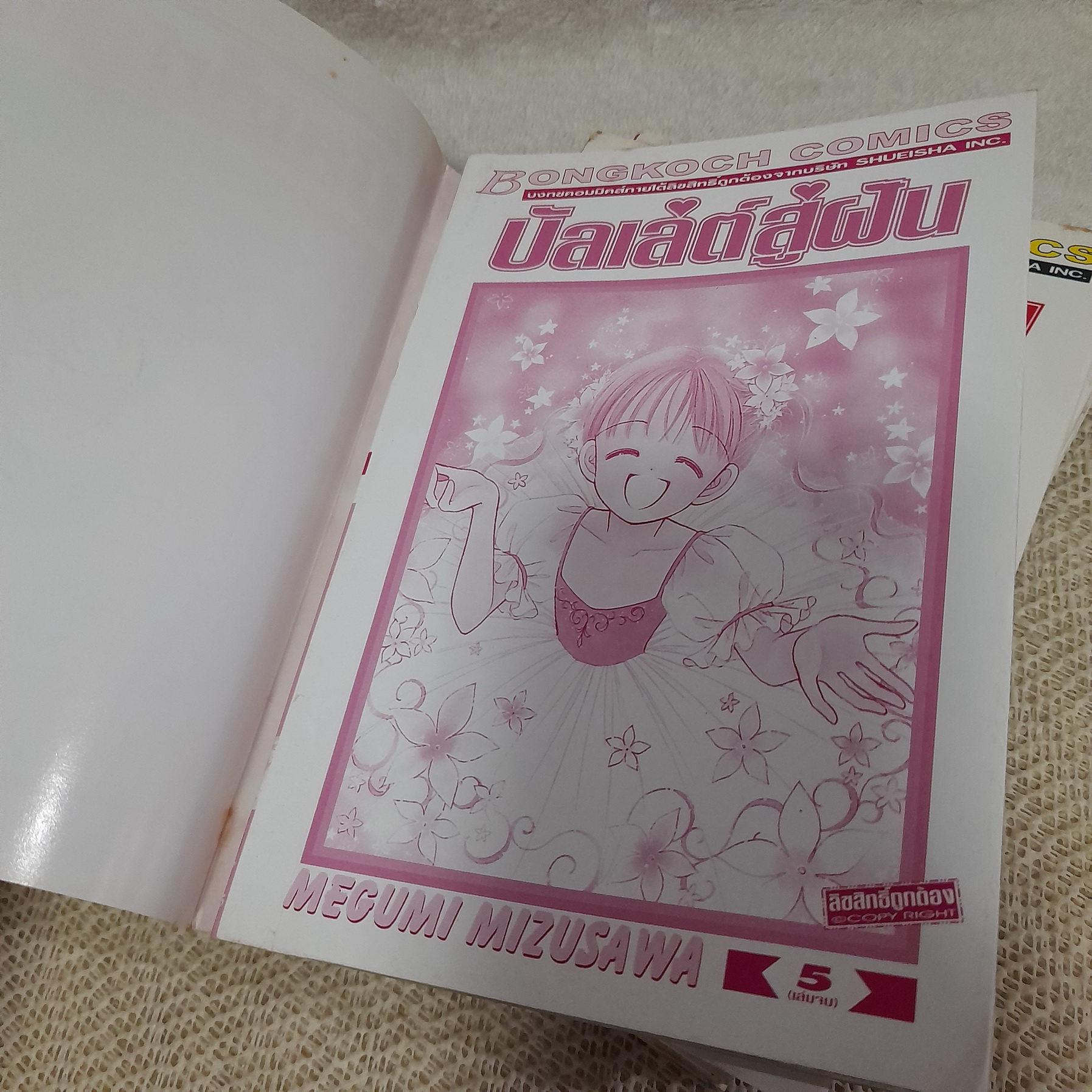 บัลเล่ต์สู่ฝัน 1-5 จบ / Megumi Mizusawa