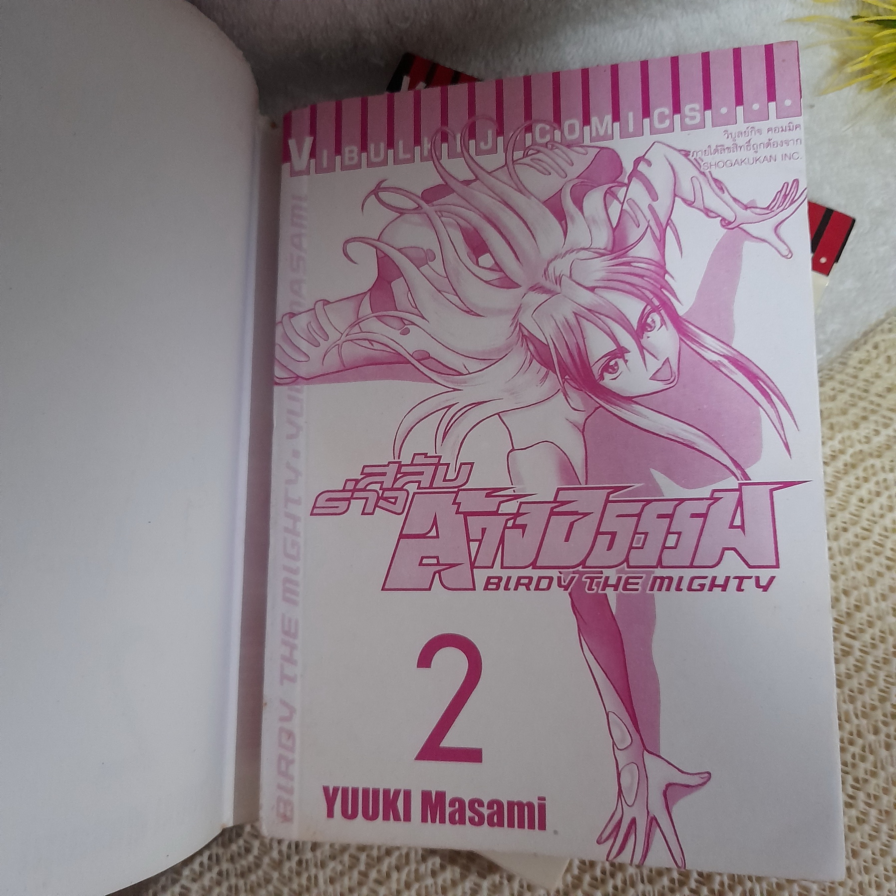 สลับร่างล้างอธรรม 1-13 ไม่จบ / * ขาดเล่ม 14-20