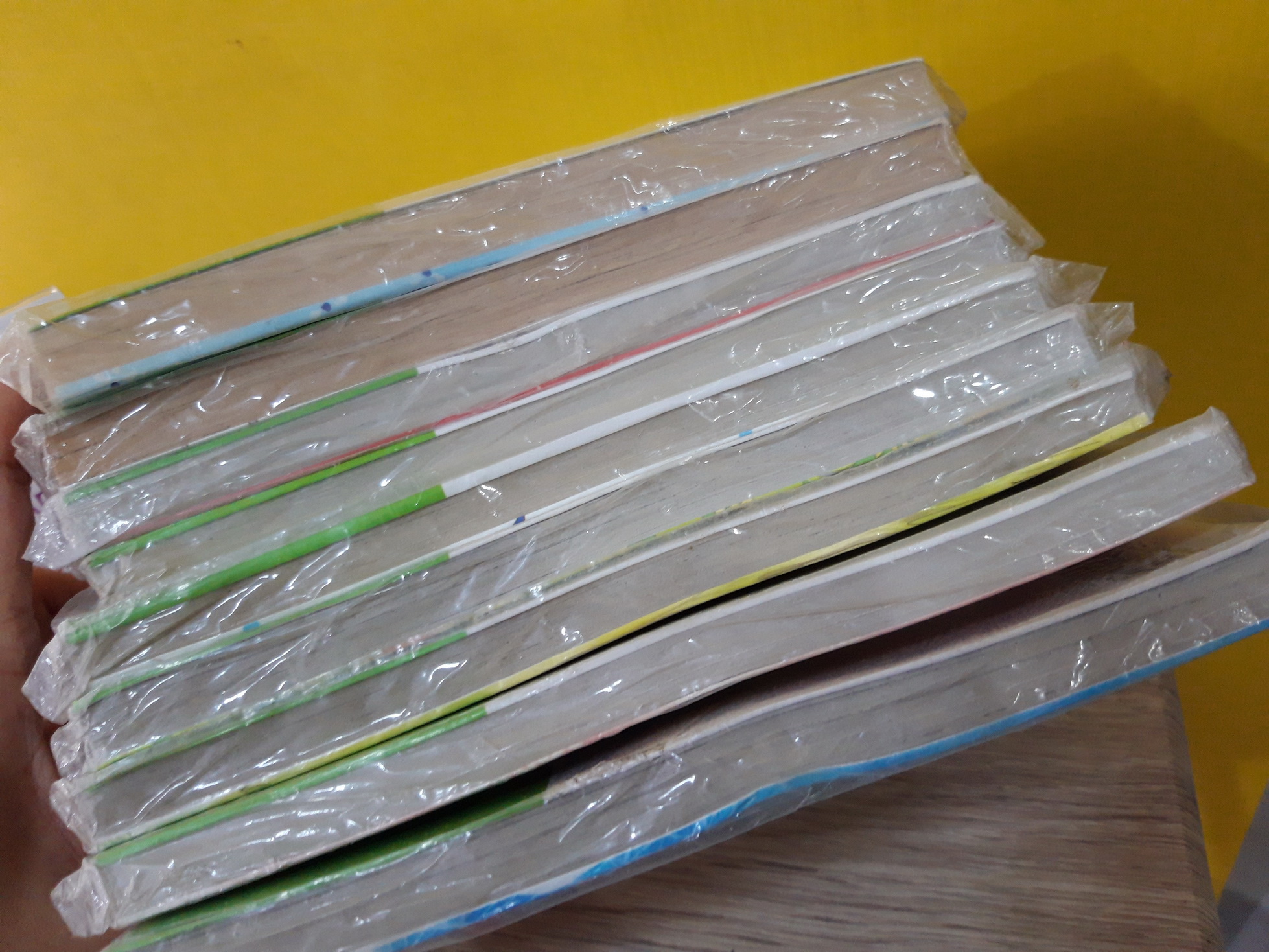 ปีศาจน้อยหัวใจกุ๊กกิ๊ก 1-9 จบ / Koi Ikeno