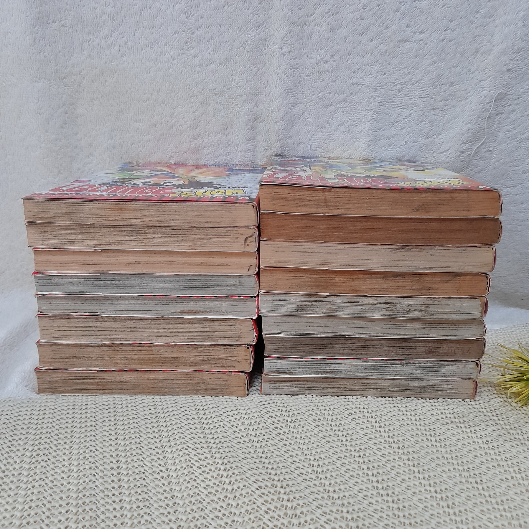 พ่อครัวจอมมายา 1-17 ไม่จบ / * ขาดเล่ม 18,9