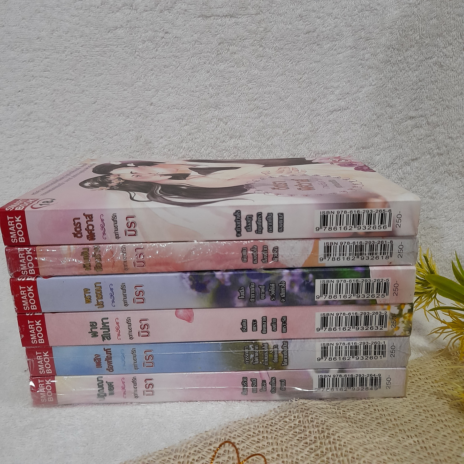 นิยายชุด ท่านชายที่รัก 6 เล่ม / มิรา (เพลิงต้องทัณฑ์ / พ่ายสิเน่หา / เดิมพันซ้อนร้าย / ตีตราพิศวาส / พรางปรารถนา / ปฏิญญาพยศ)