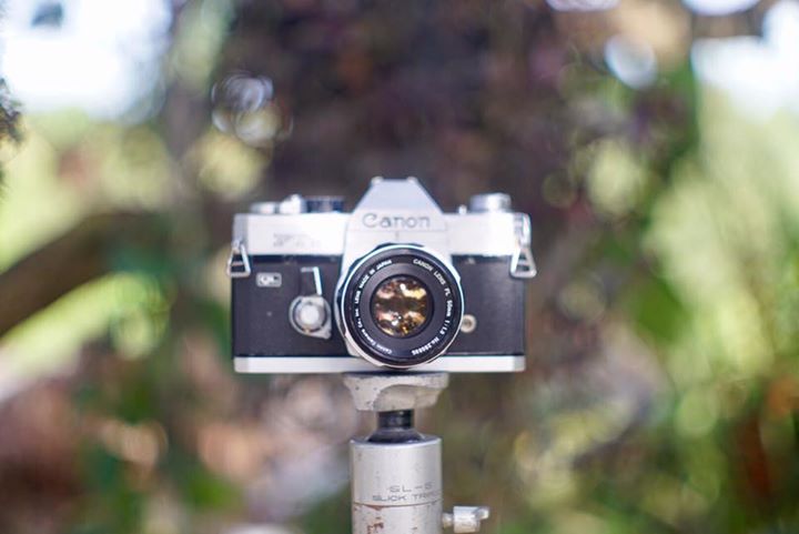 Canon FTB QL Canon Lens FL 50mm. f1.8
