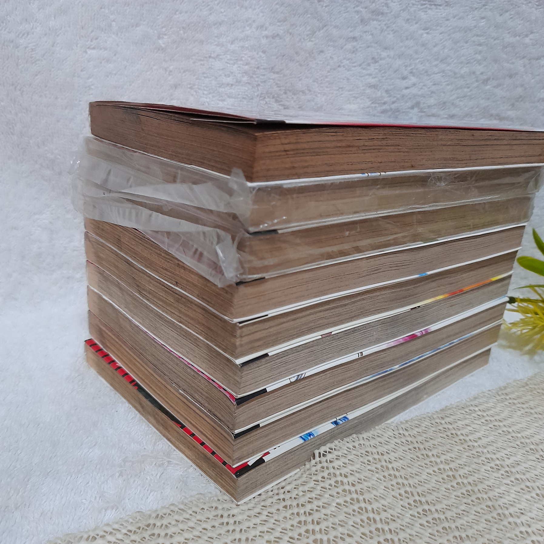 อัจฉริยะตกปลานากาเระ 1-9 ไม่จบ / * ขาดเล่ม 10,11