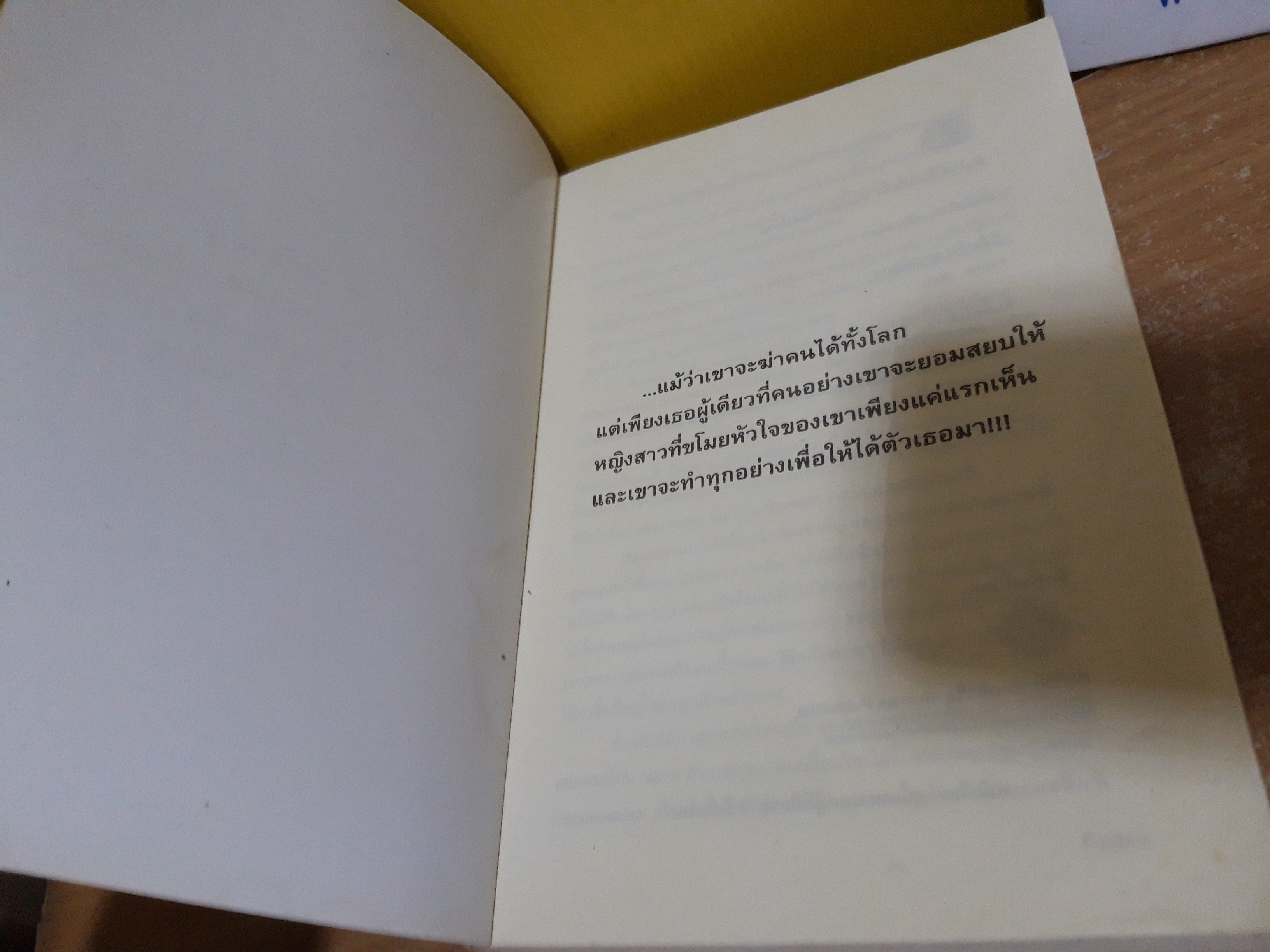 ลิขิตรักลายมังกร / Fallen