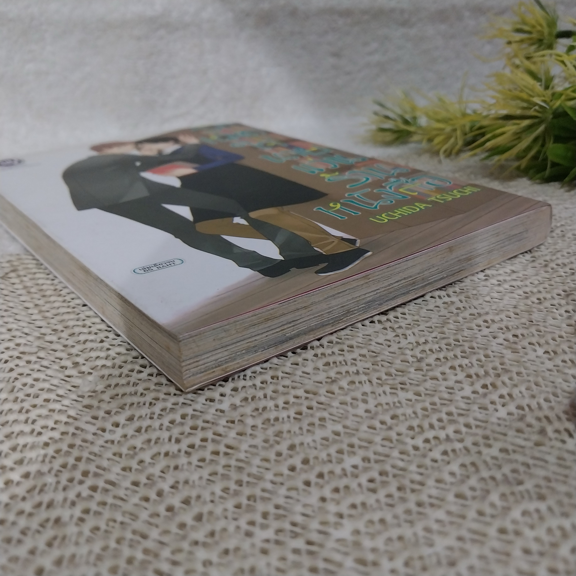 รักหมดใจนายแว่นร้านหนังสือ / UCHIDA TSUCHI