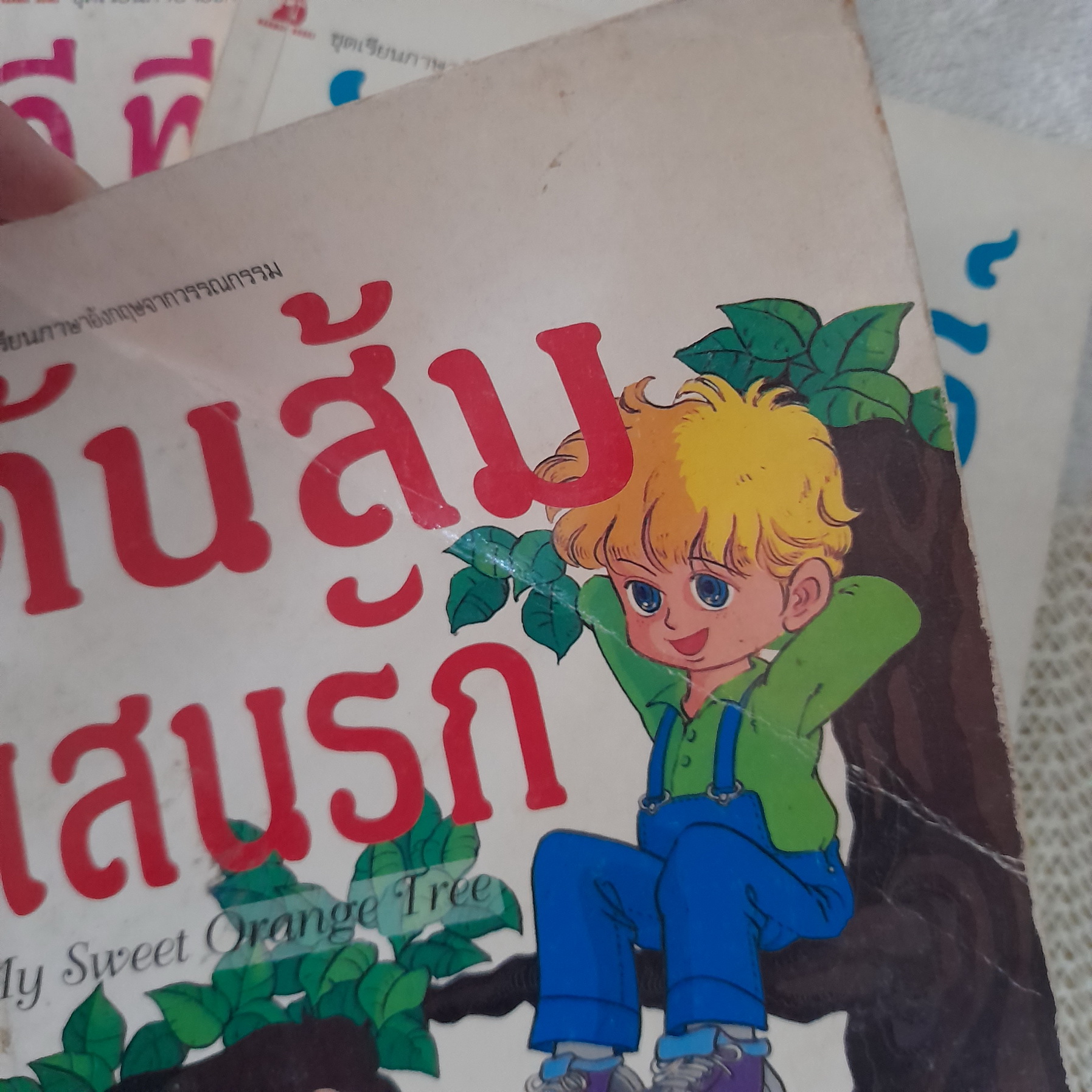 หนังสือชุดเรียนภาษาอังกฤษจากวรรณกรรม (ขายแยกเล่ม)