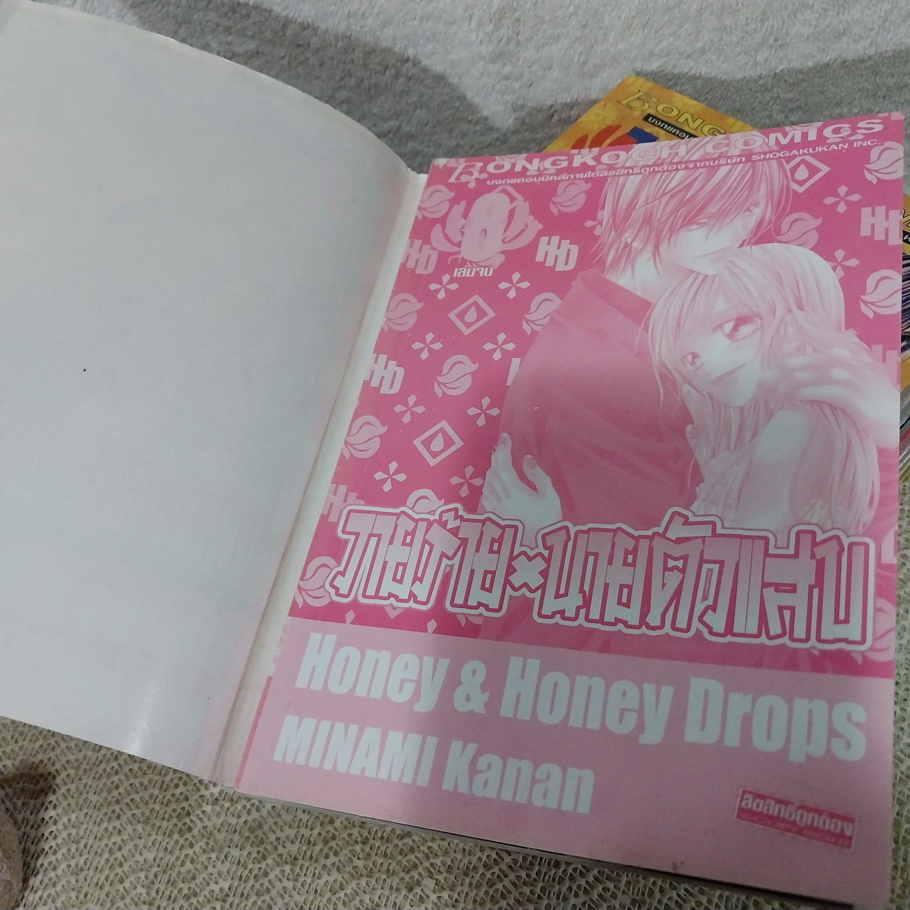 วายร้ายนายตัวแสบ 1-8 จบ / Minami Kanan