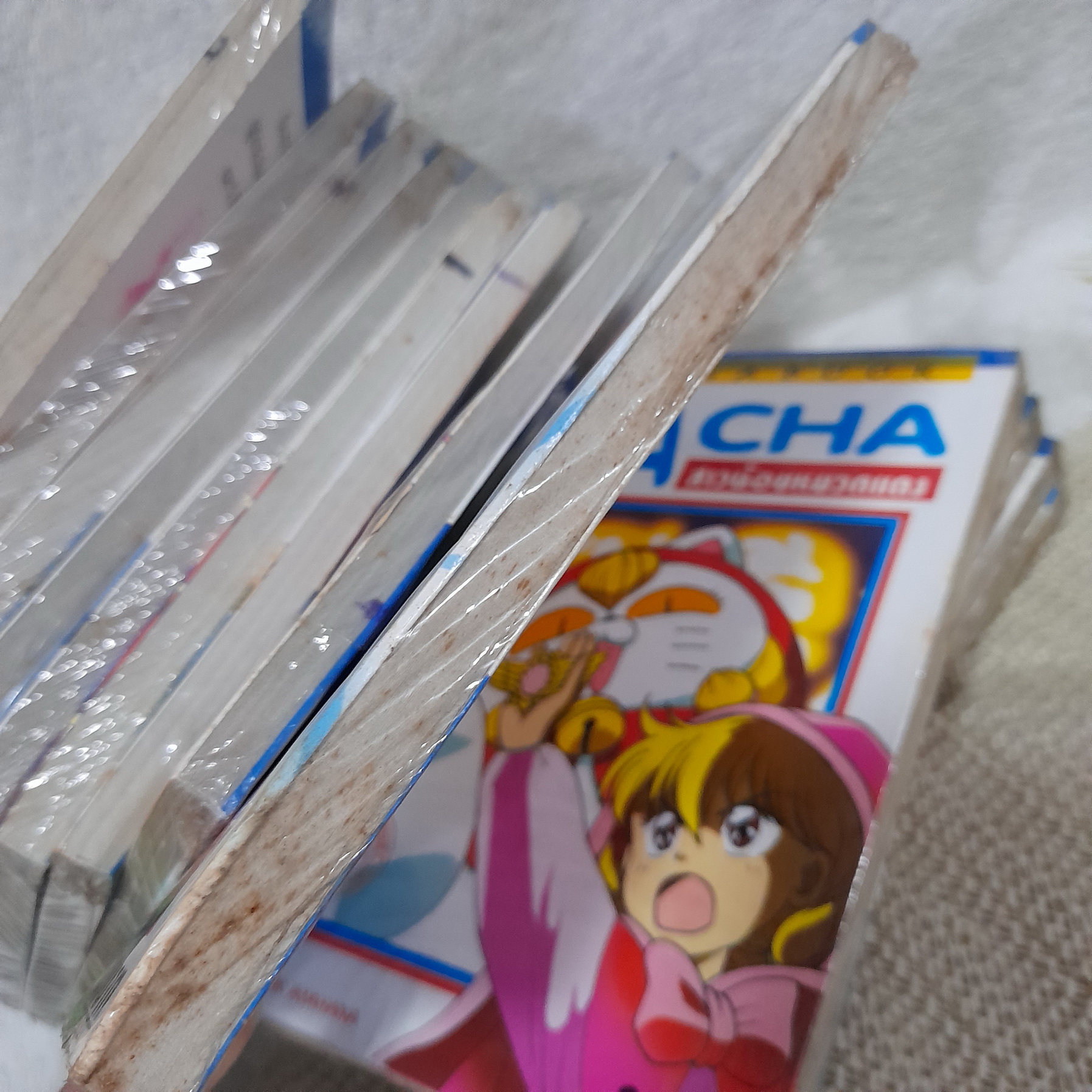 CHA CHA สาวน้อยหมวกแดง 1-13 จบ