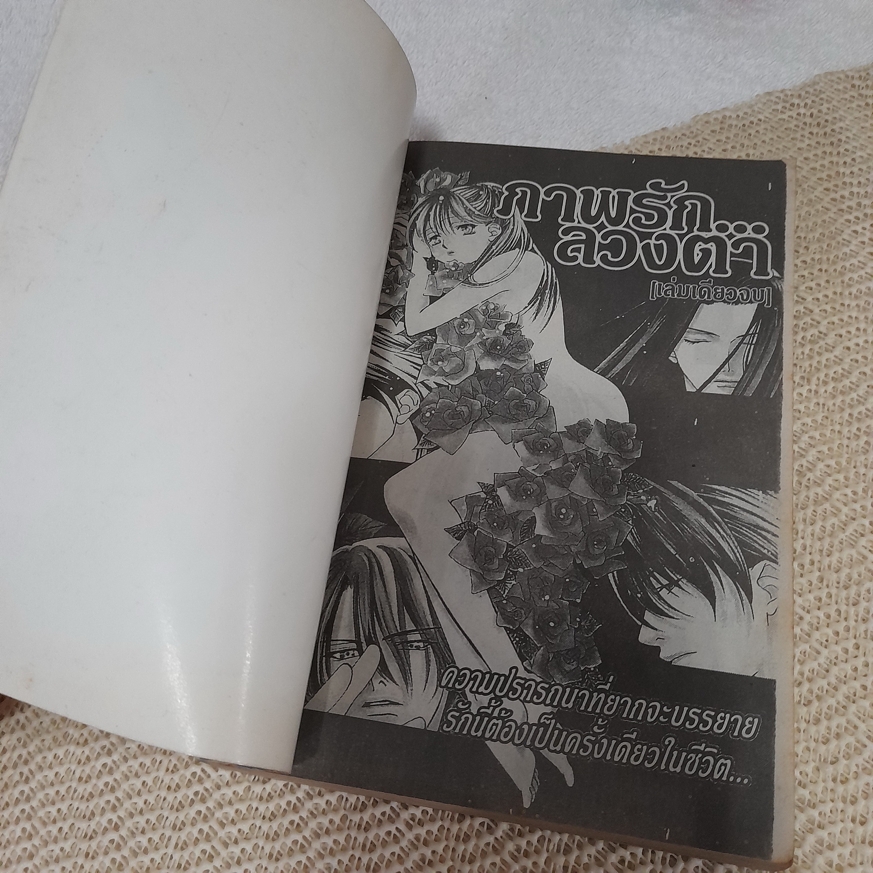 ภาพรักลวงตา / Osakabe Mashin