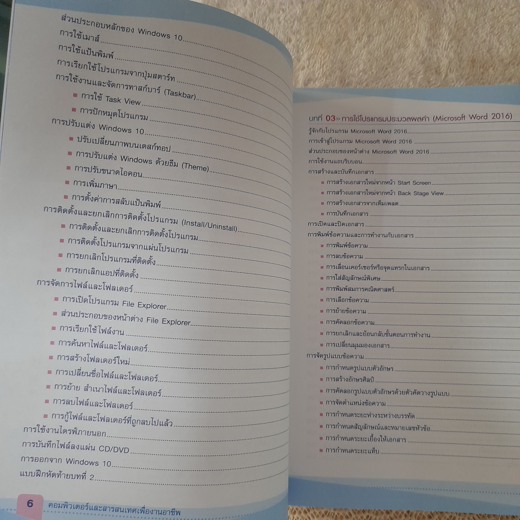 คอมพิวเตอร์และสารสนเทศเพื่องานอาชีพ / ธัชชัย จำลอง
